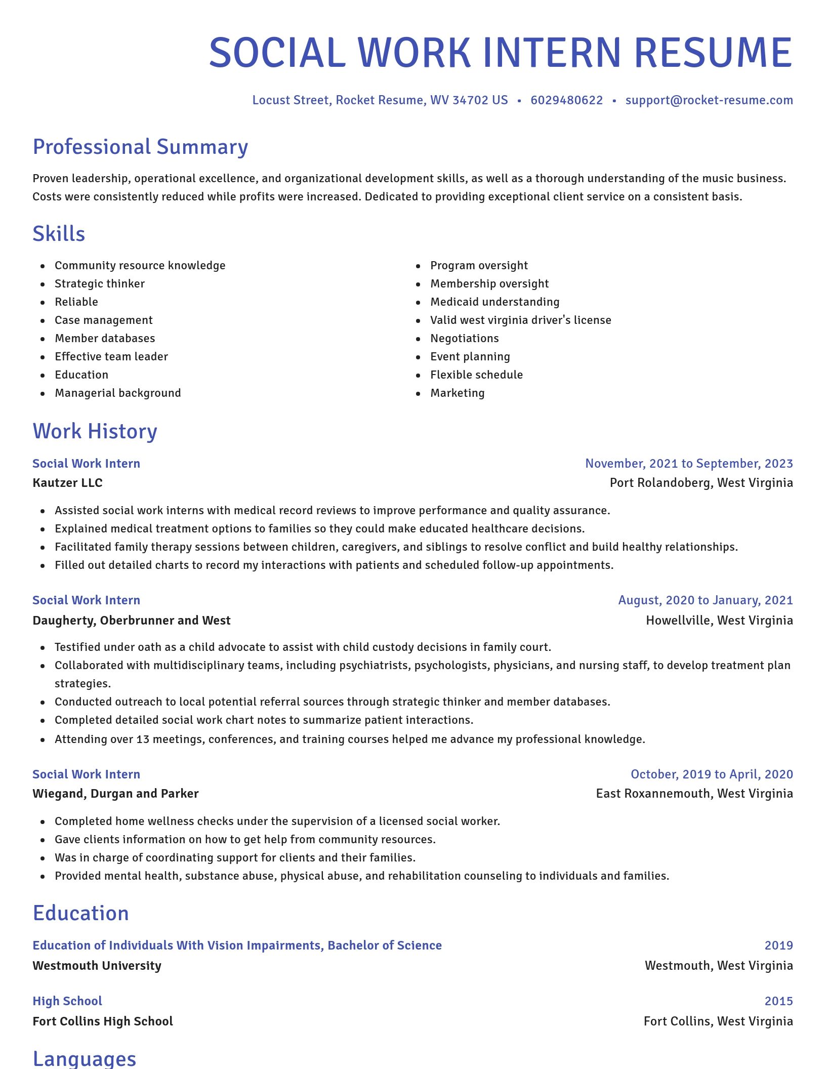 Novel resume template