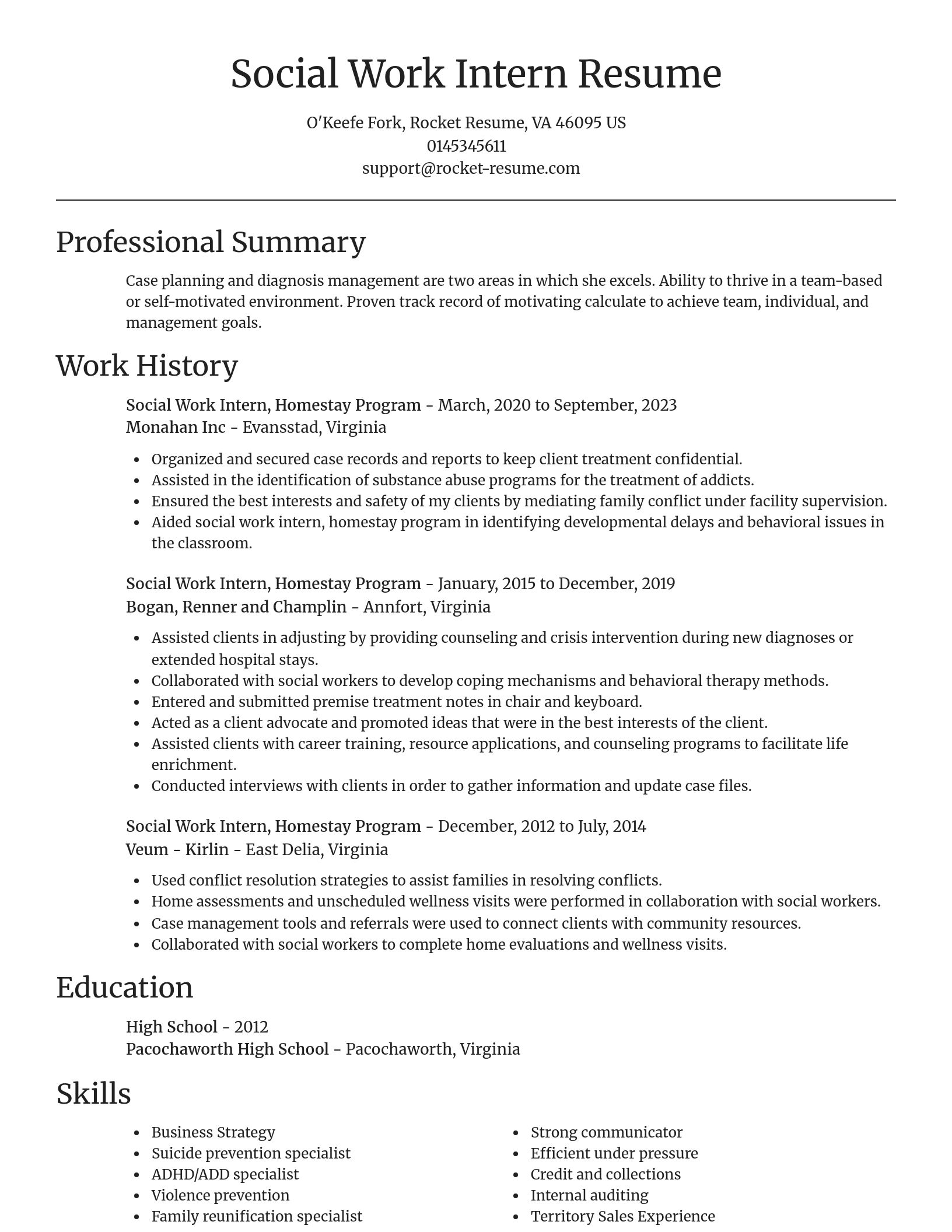 Focal Point resume template