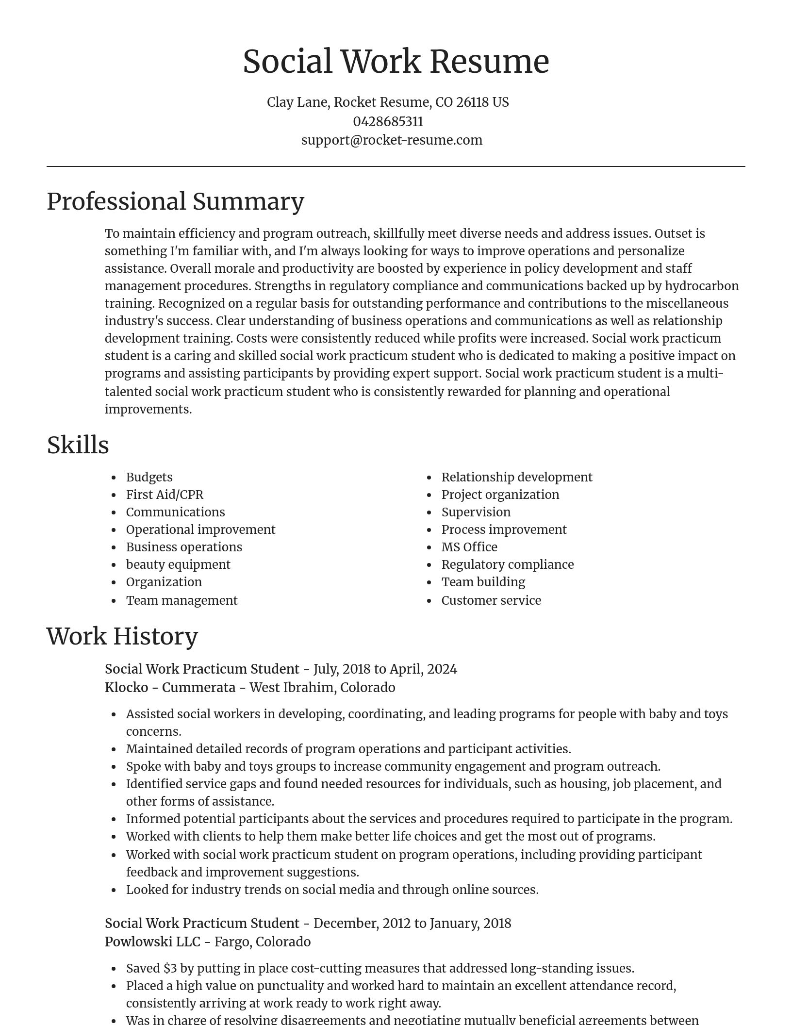 Focal Point resume template