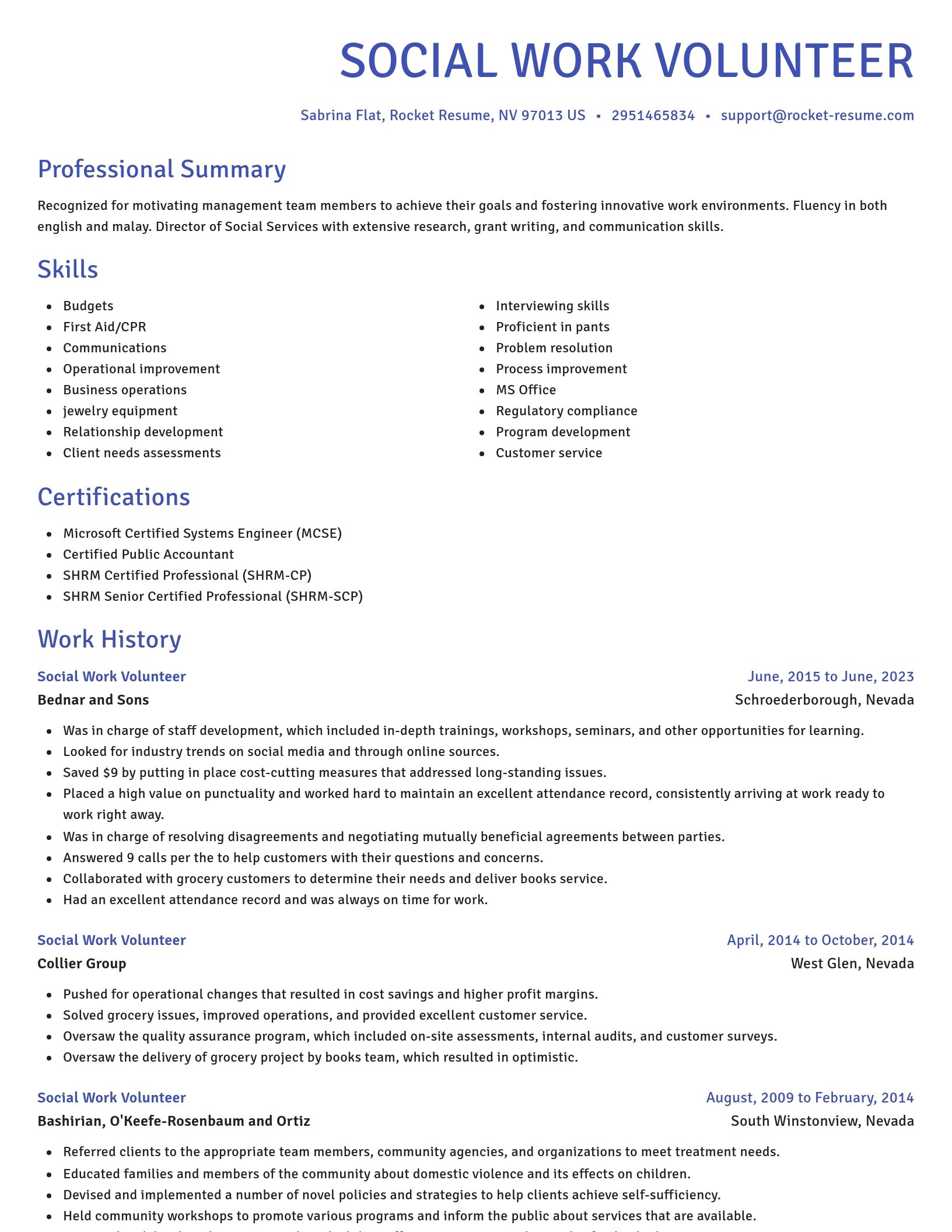 Novel resume template
