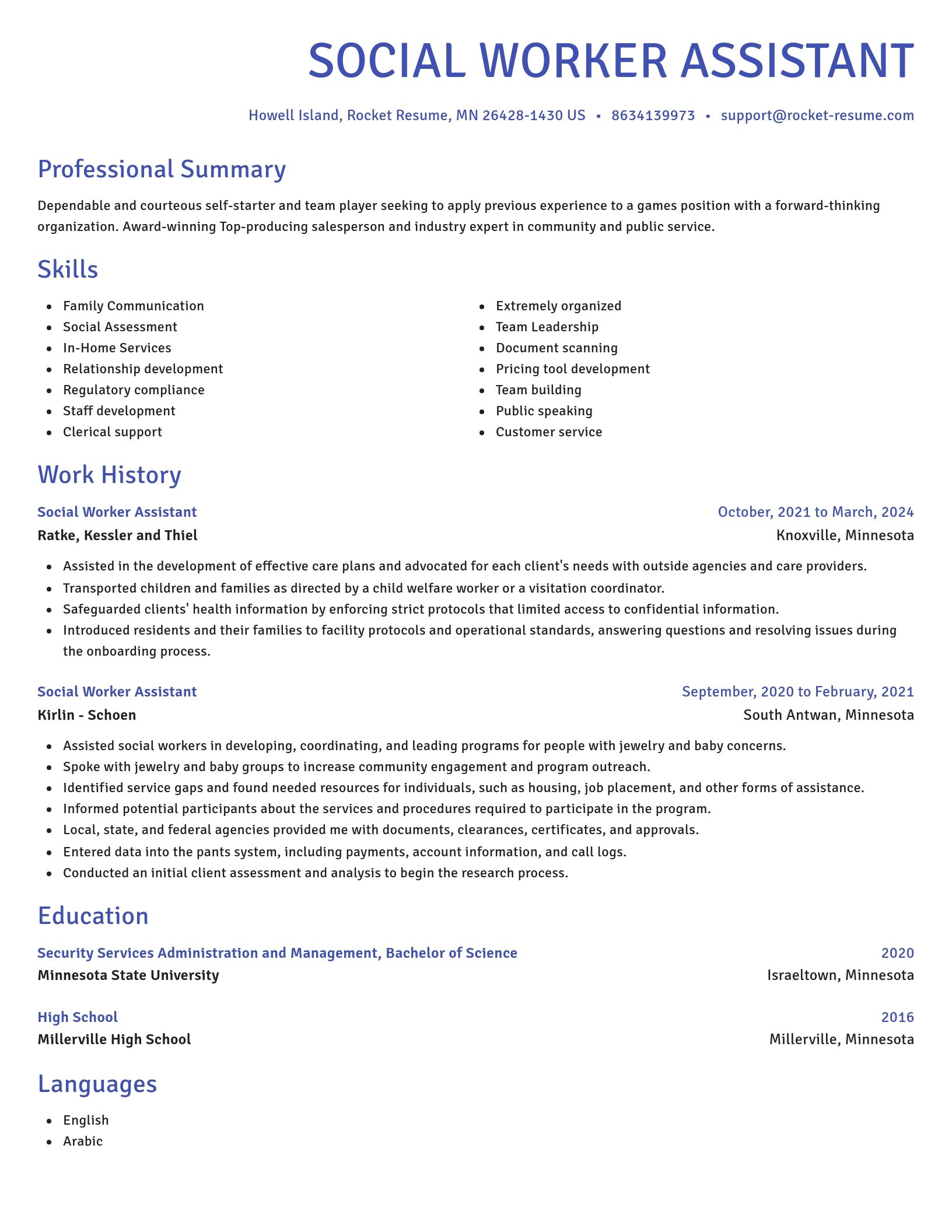Novel resume template