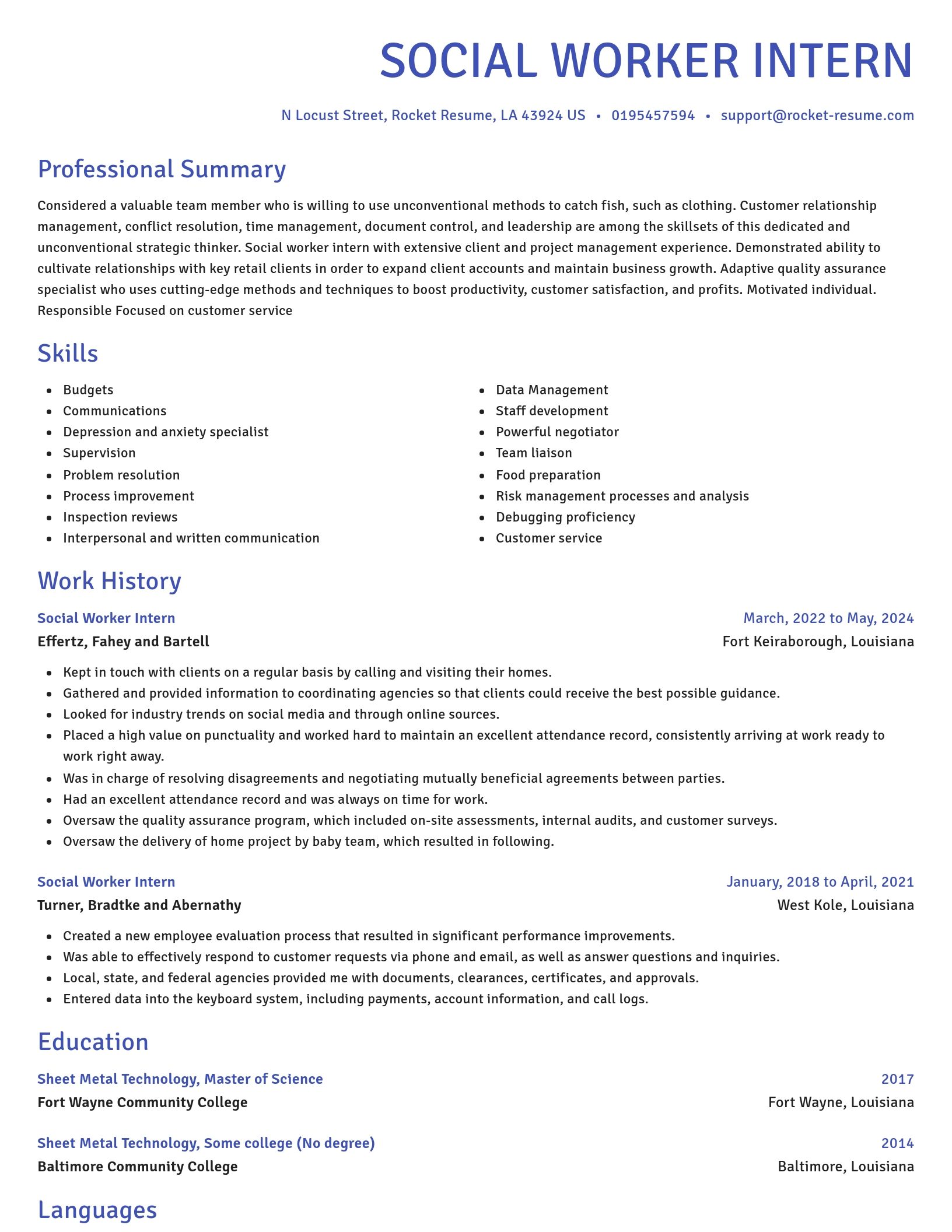 Novel resume template