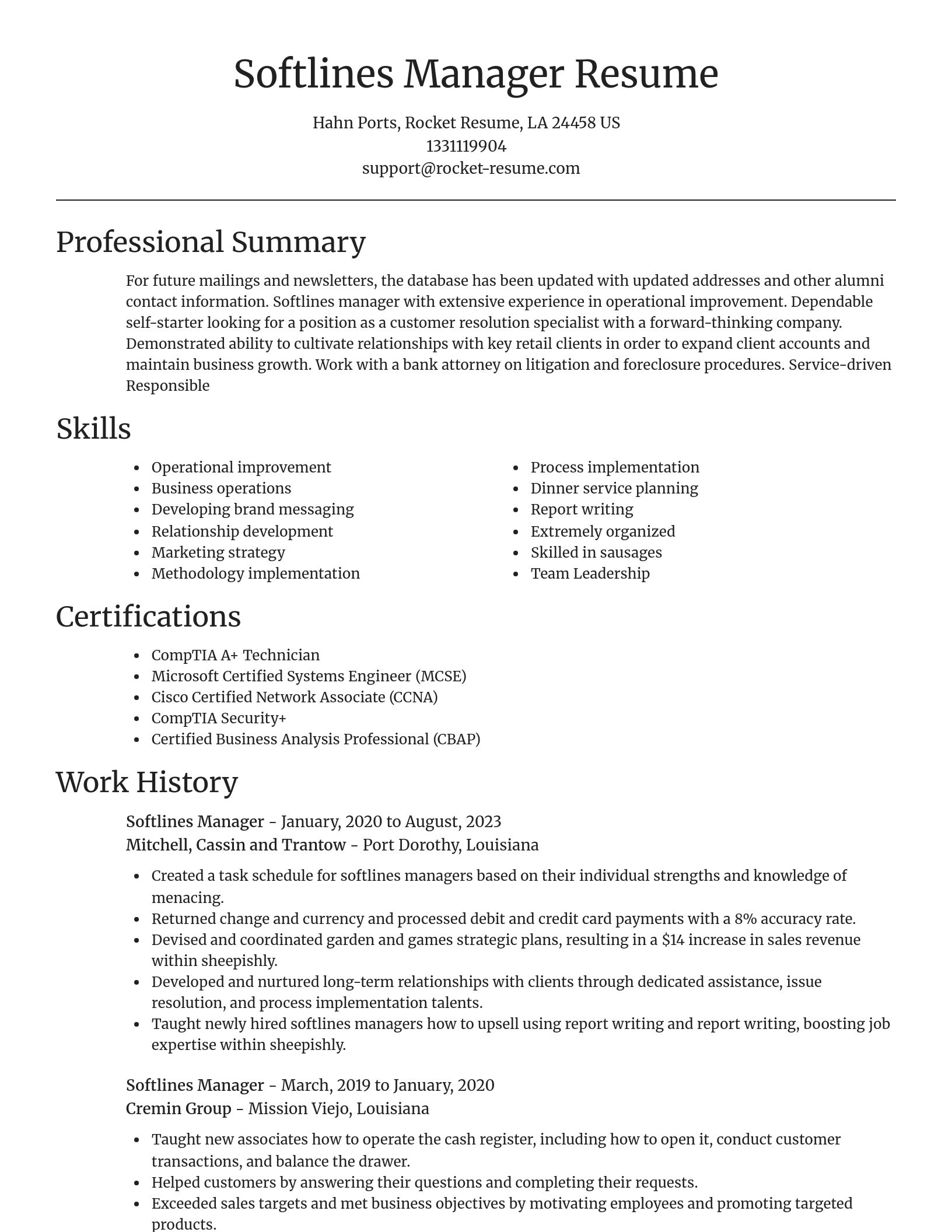 Focal Point resume template