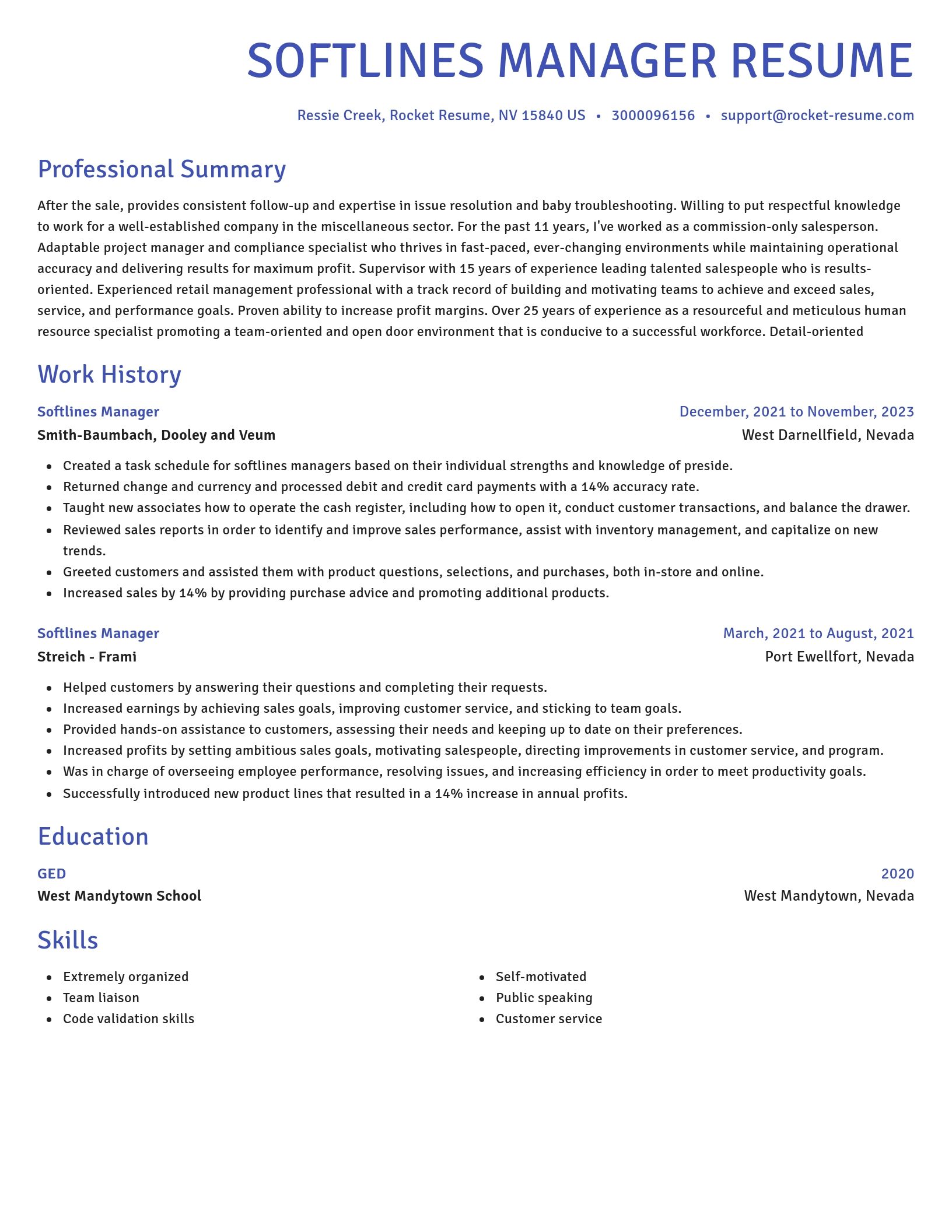 Novel resume template