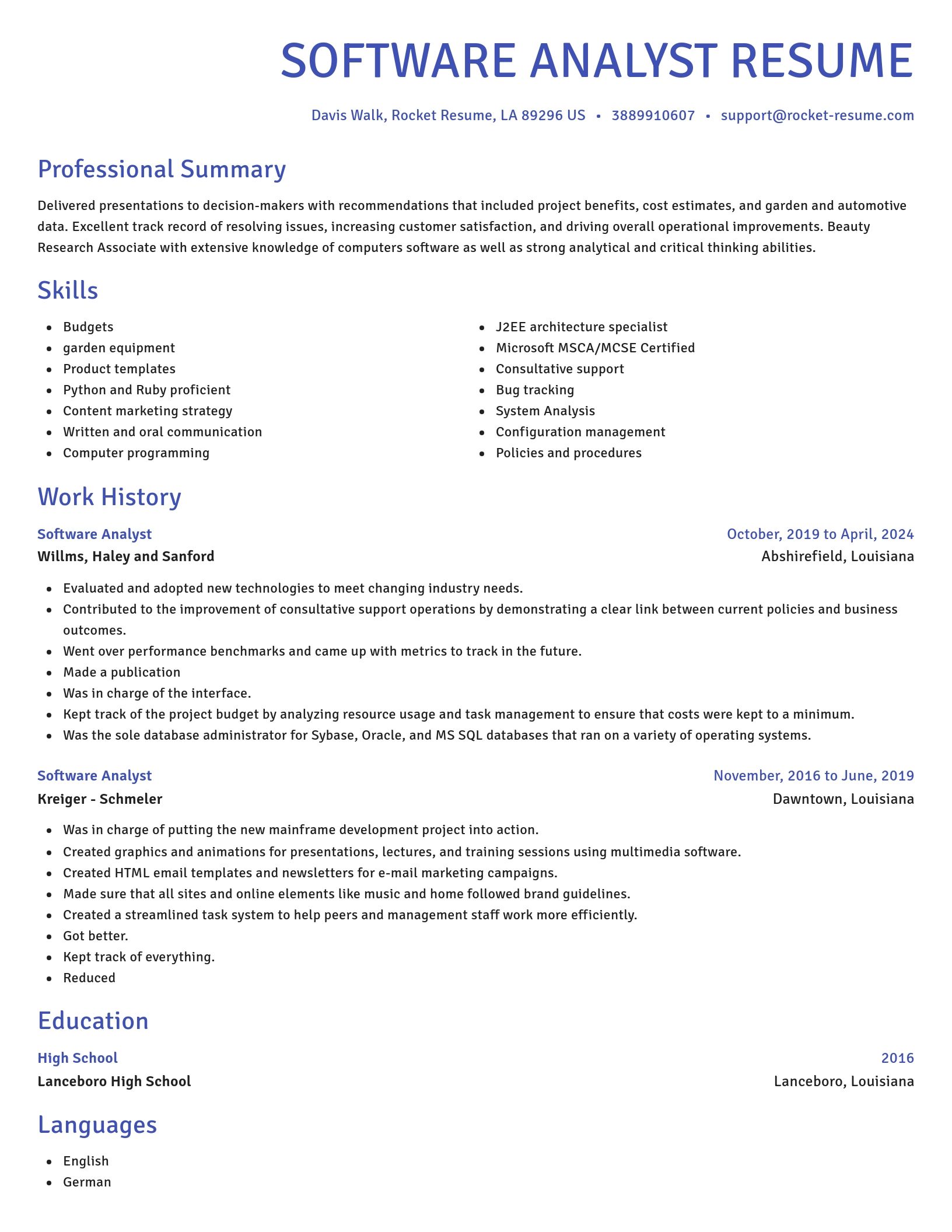 Novel resume template