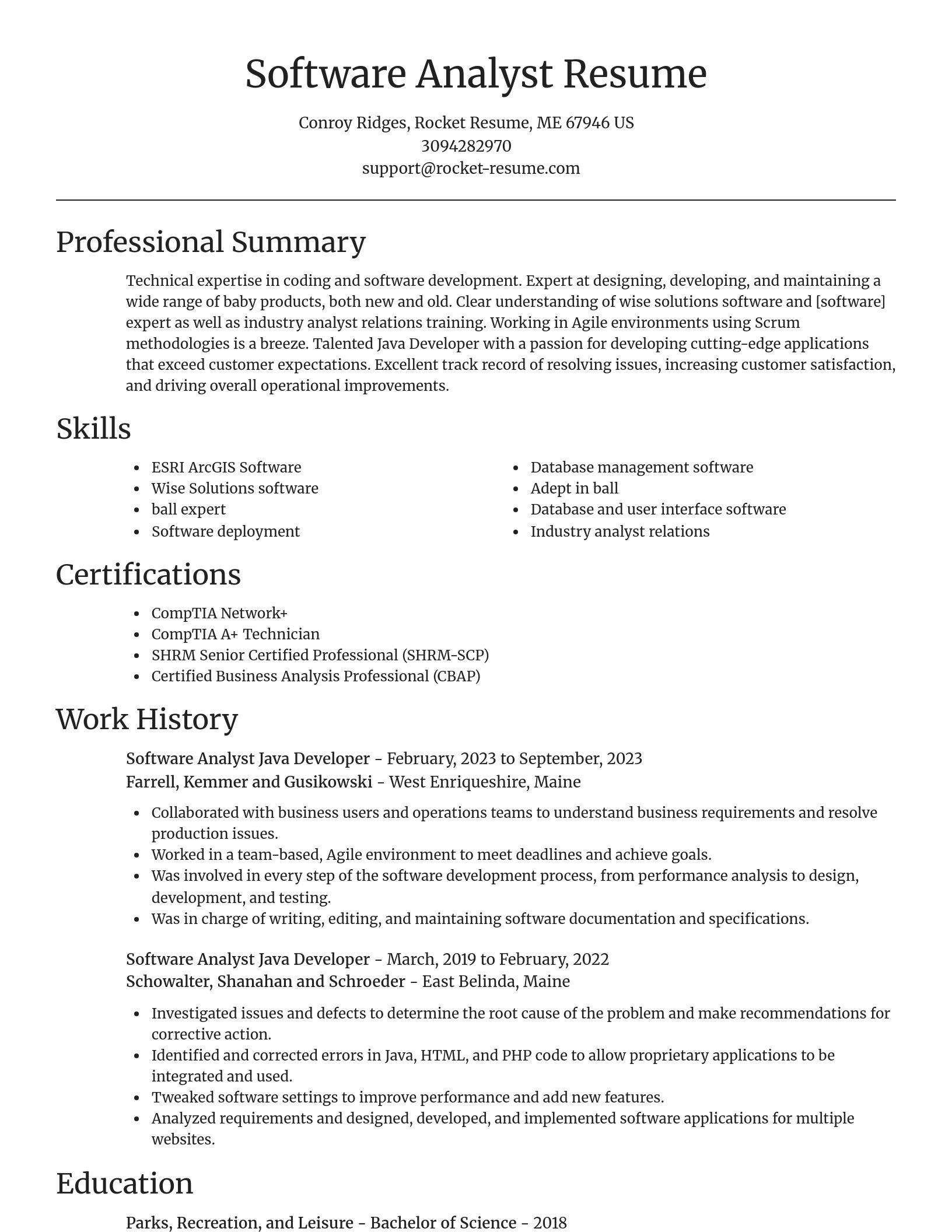 Focal Point resume template