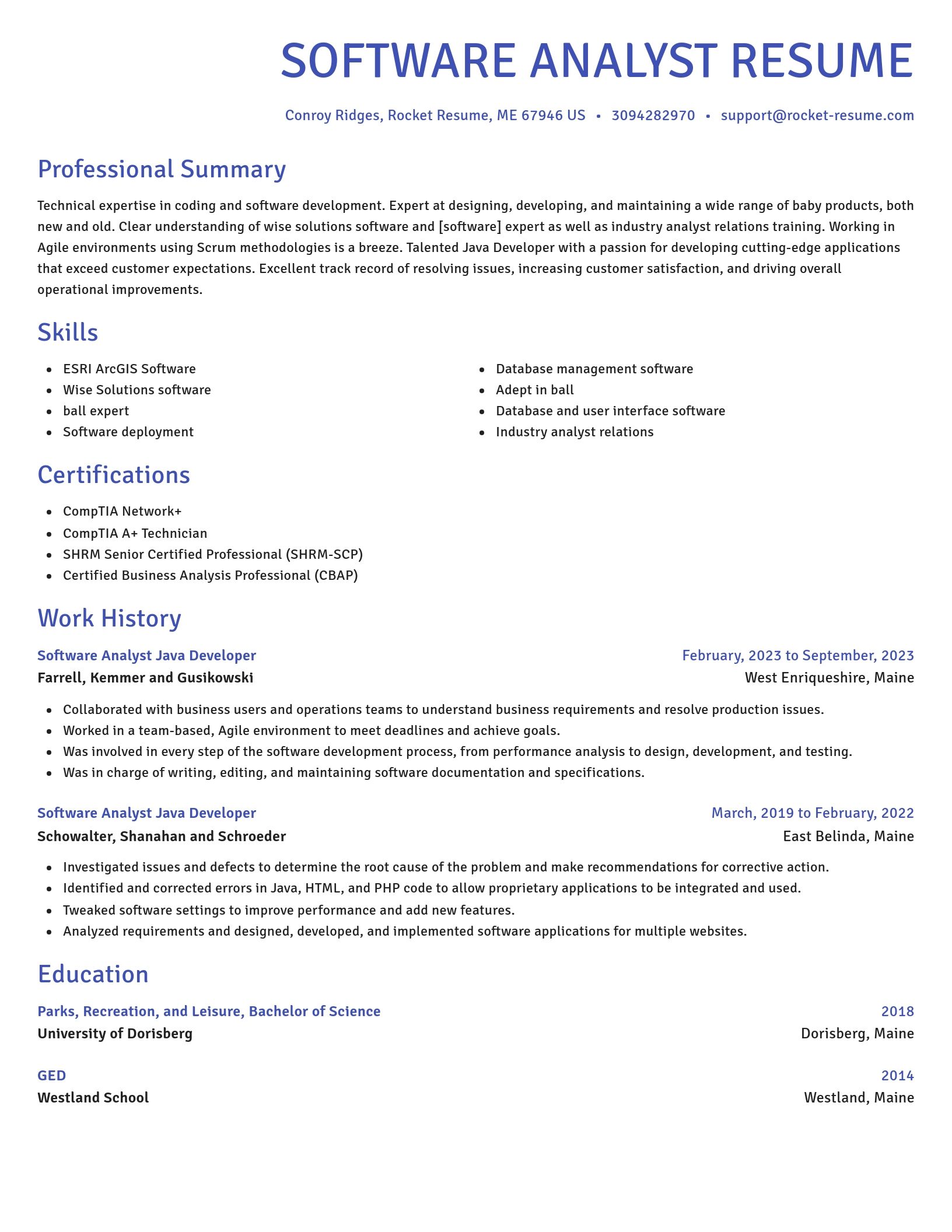 Novel resume template