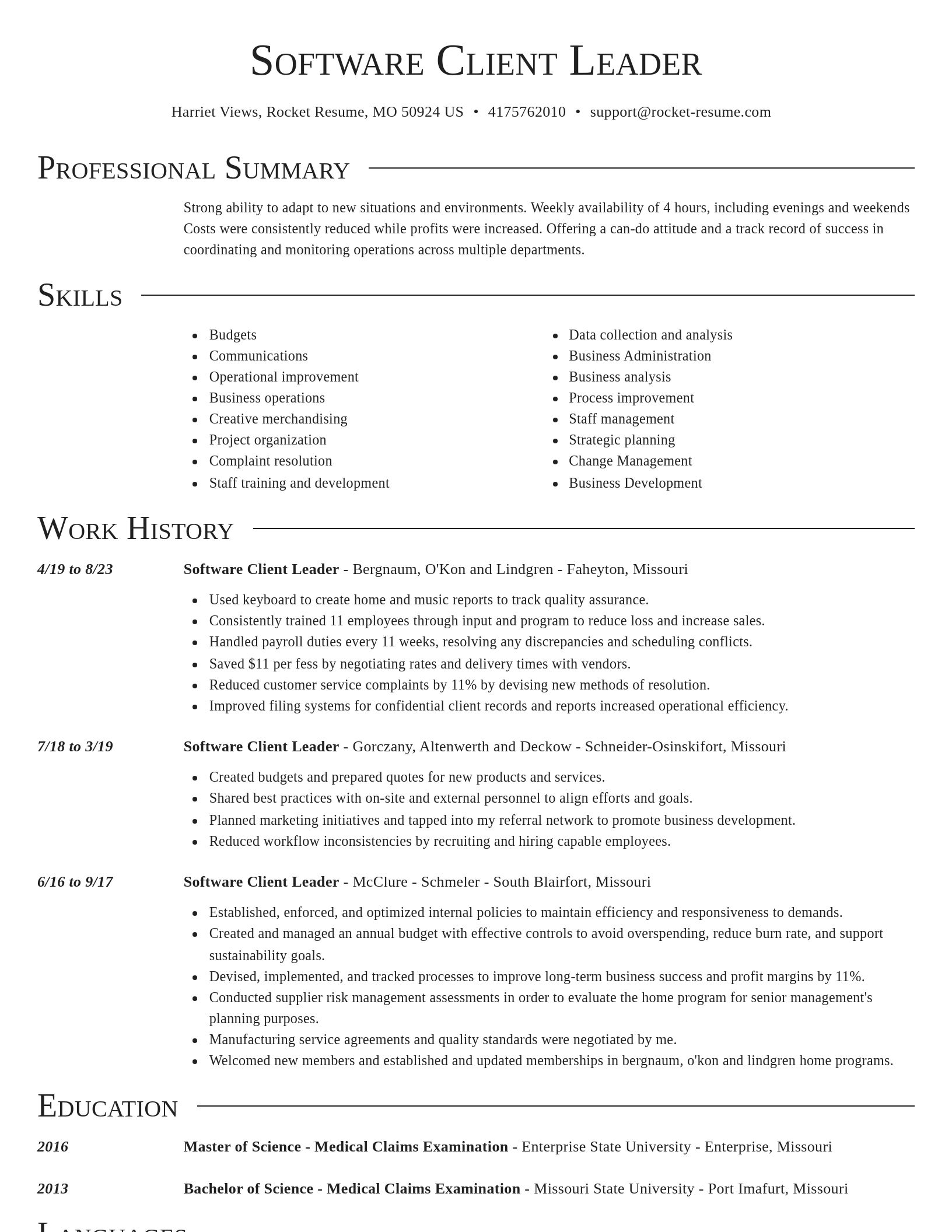 Director resume template