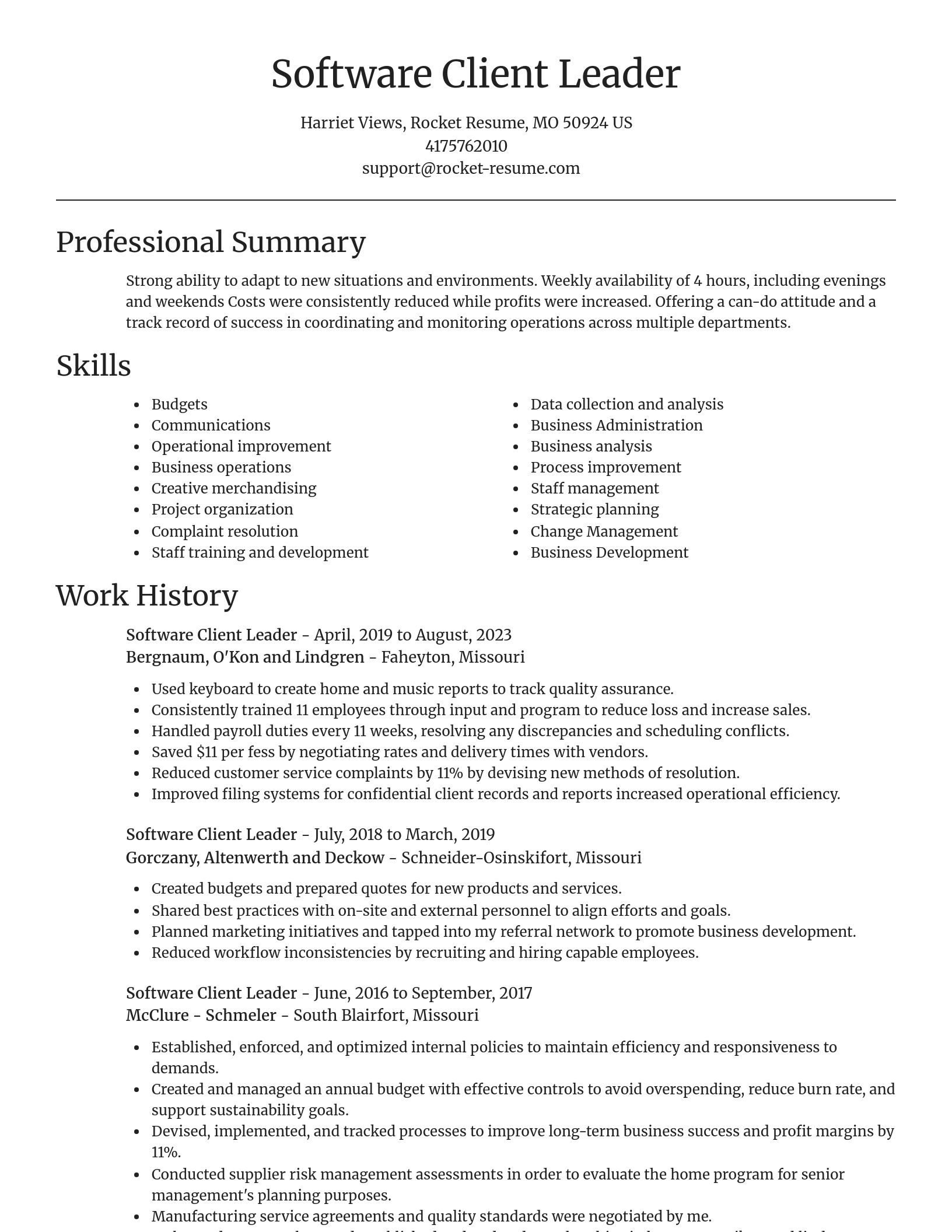 Focal Point resume template