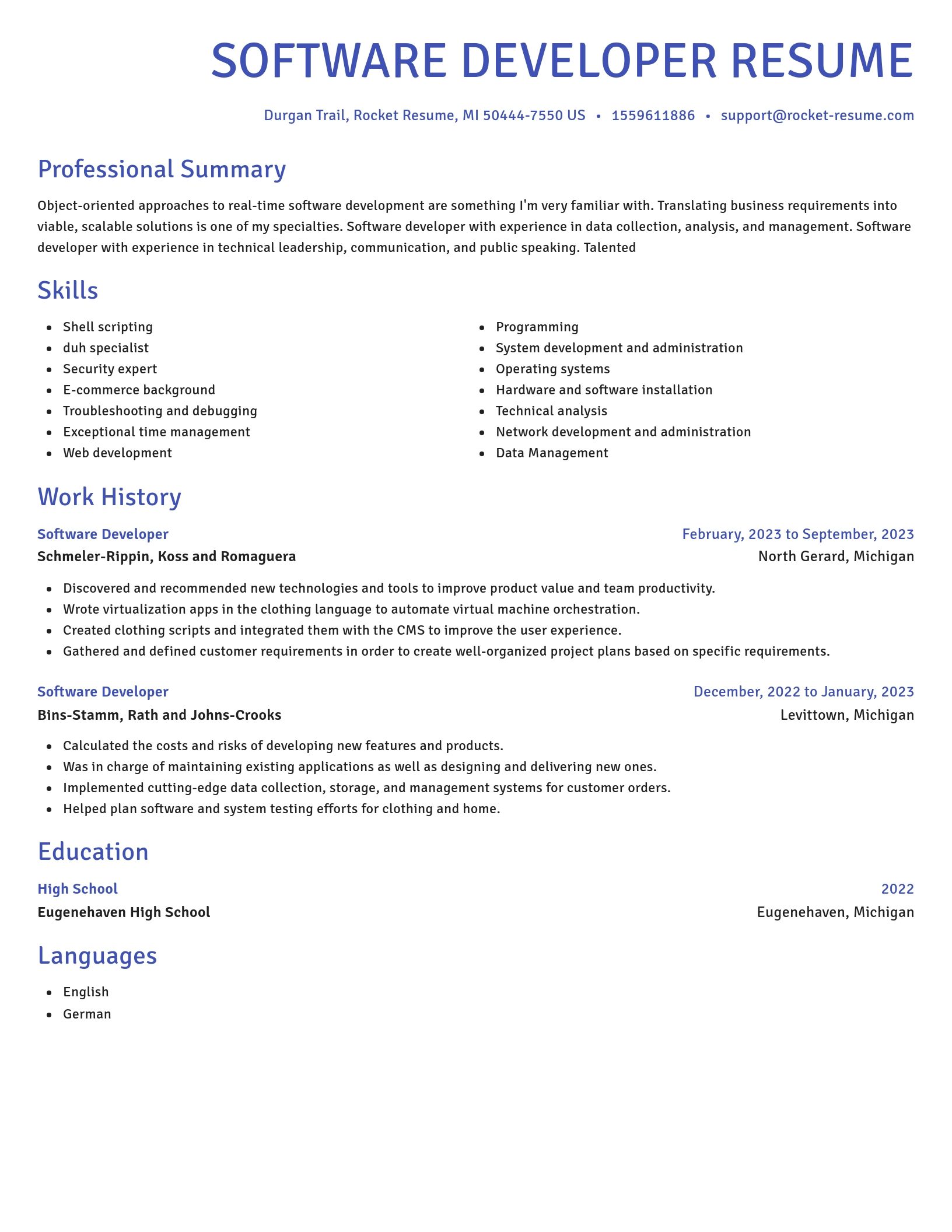 Novel resume template