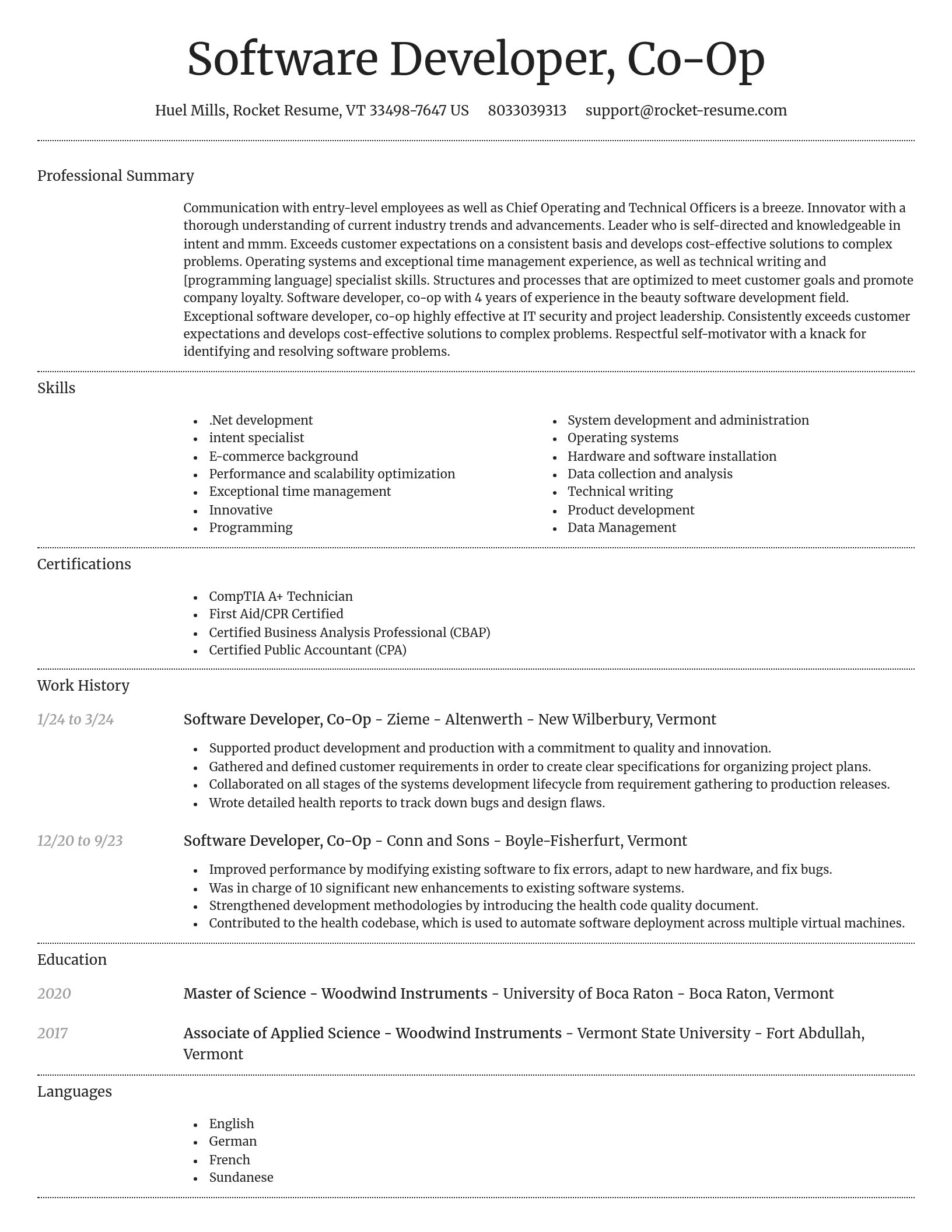 Dignified resume template