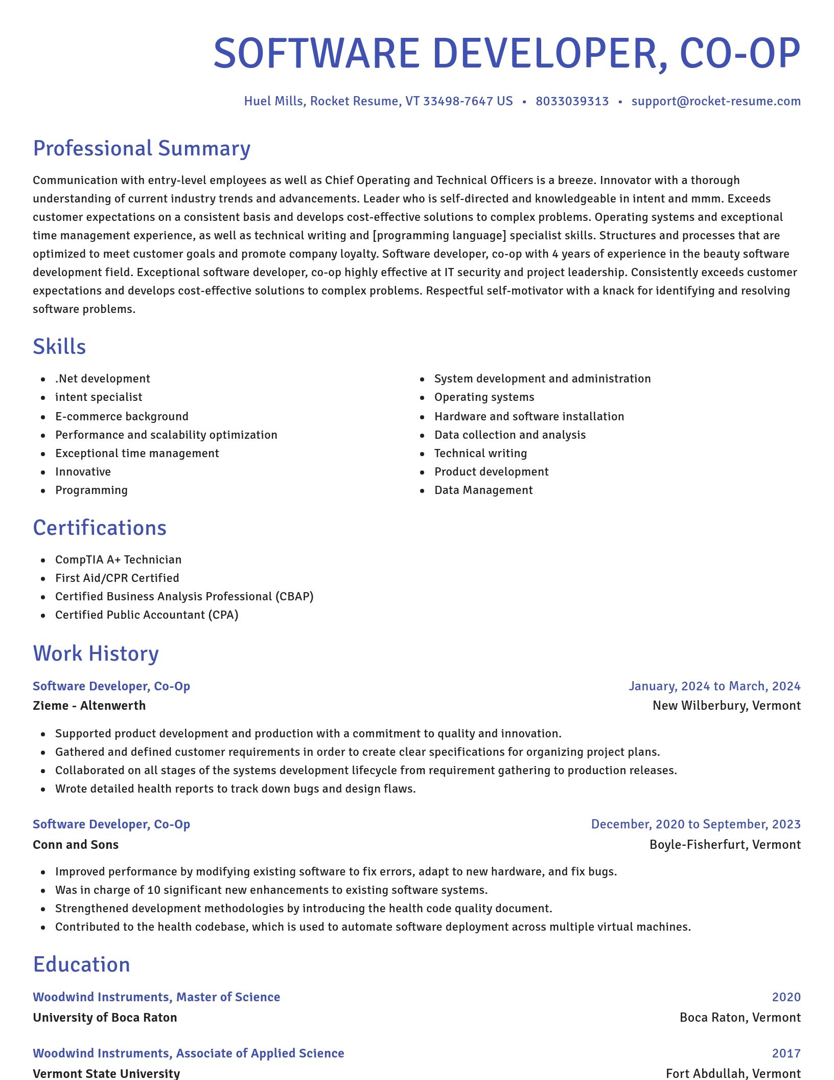 Novel resume template
