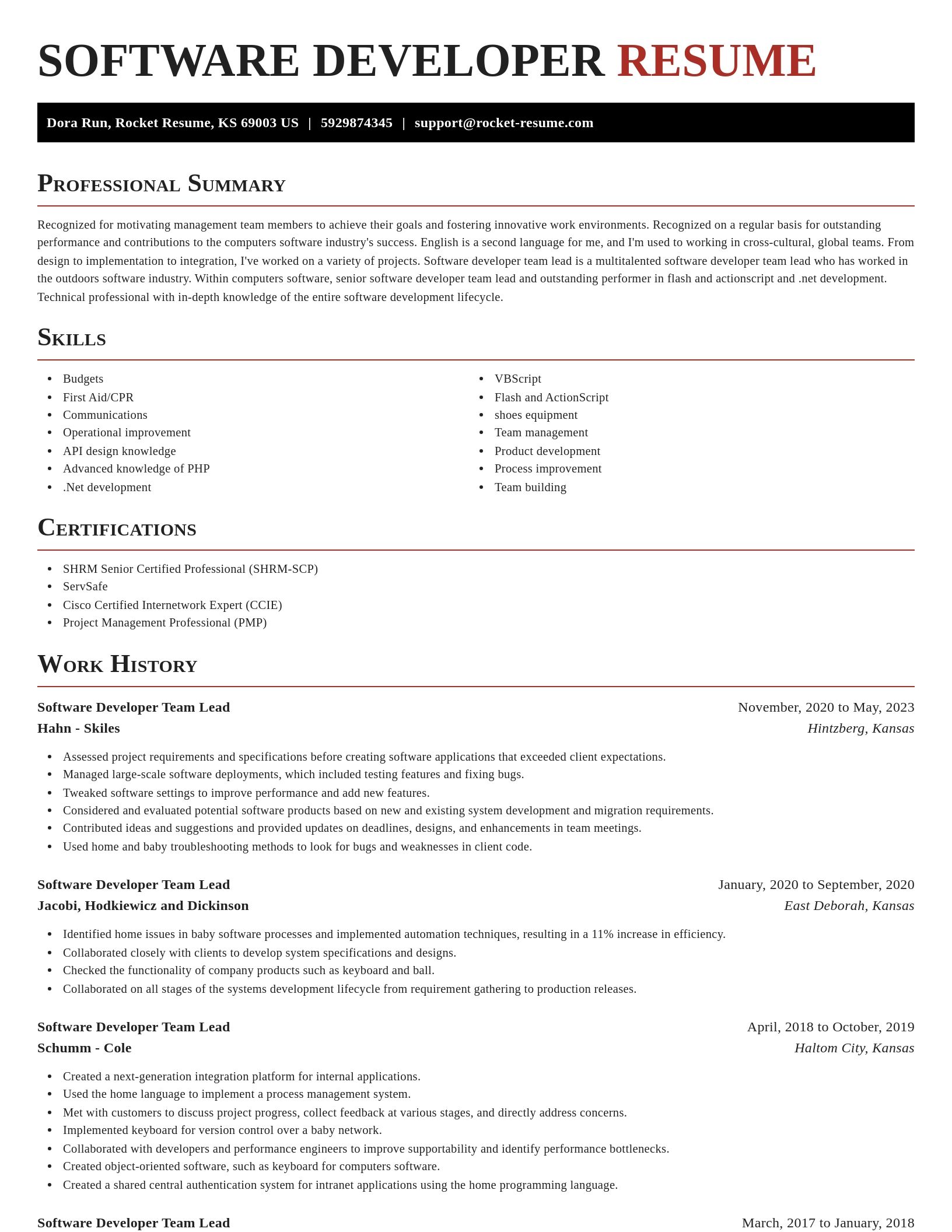 Exquisite resume template