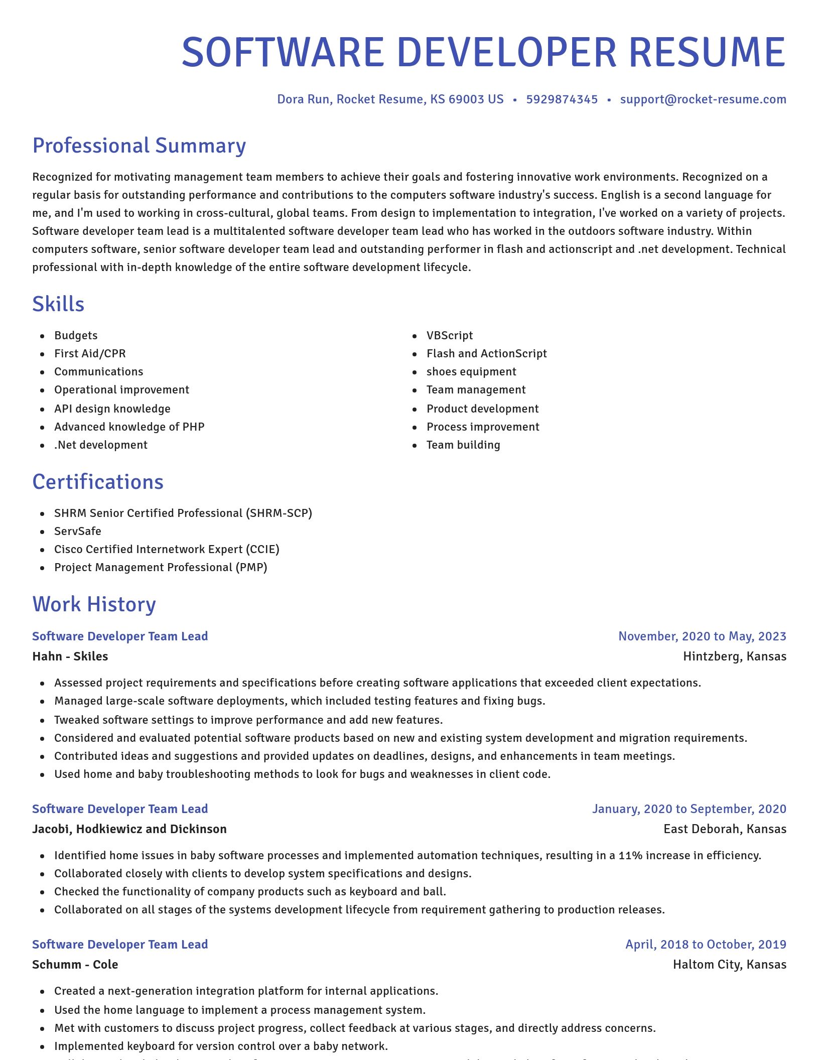 Novel resume template