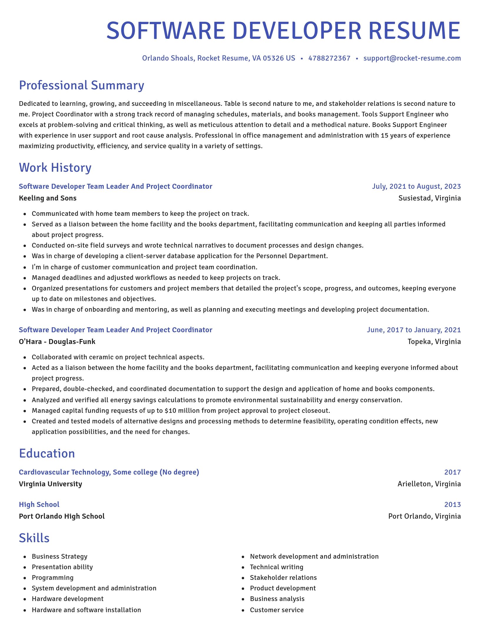 Novel resume template
