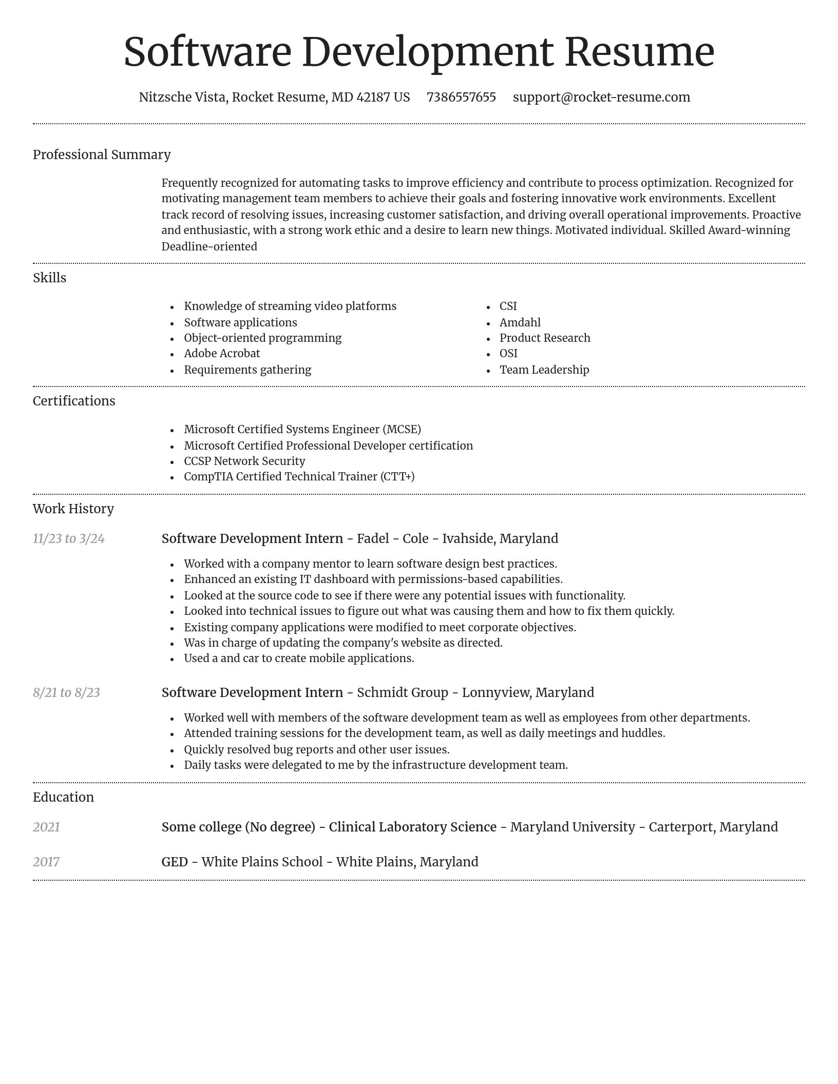 Dignified resume template