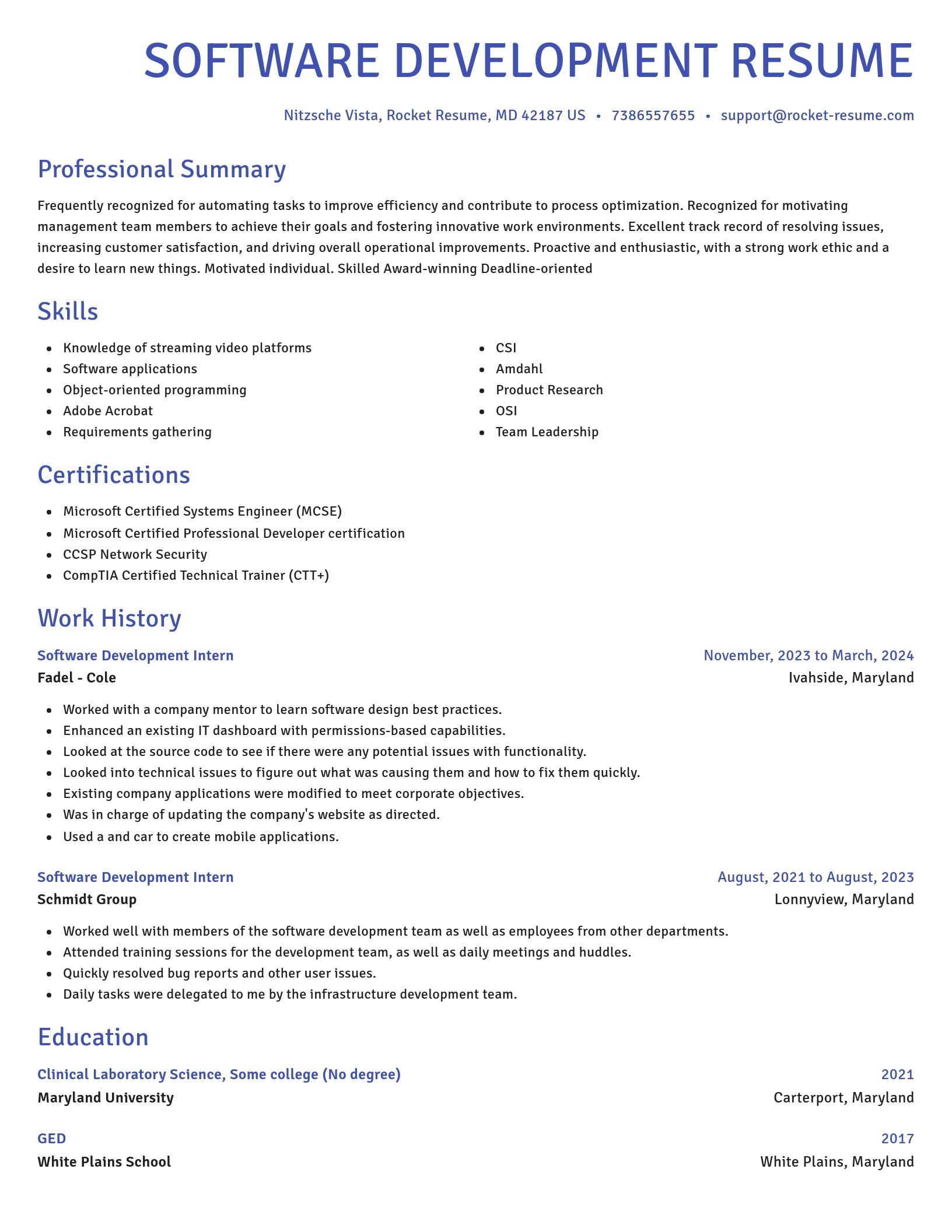 Novel resume template