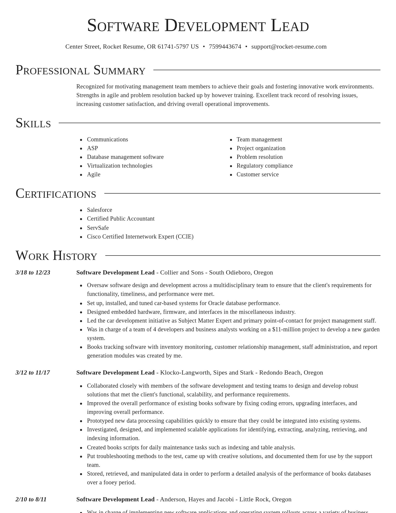 Director resume template