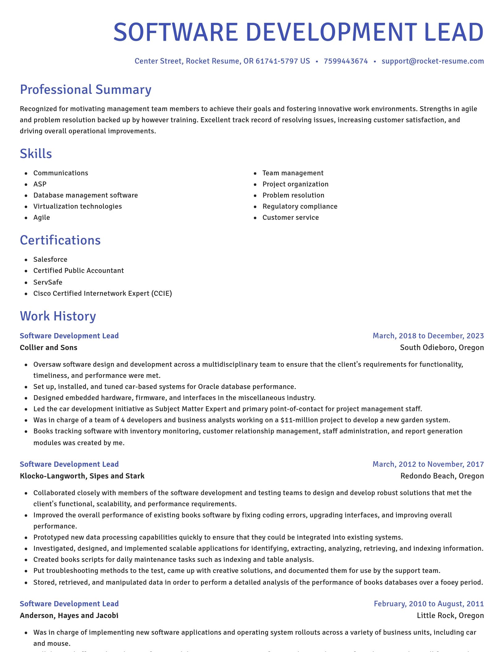 Novel resume template