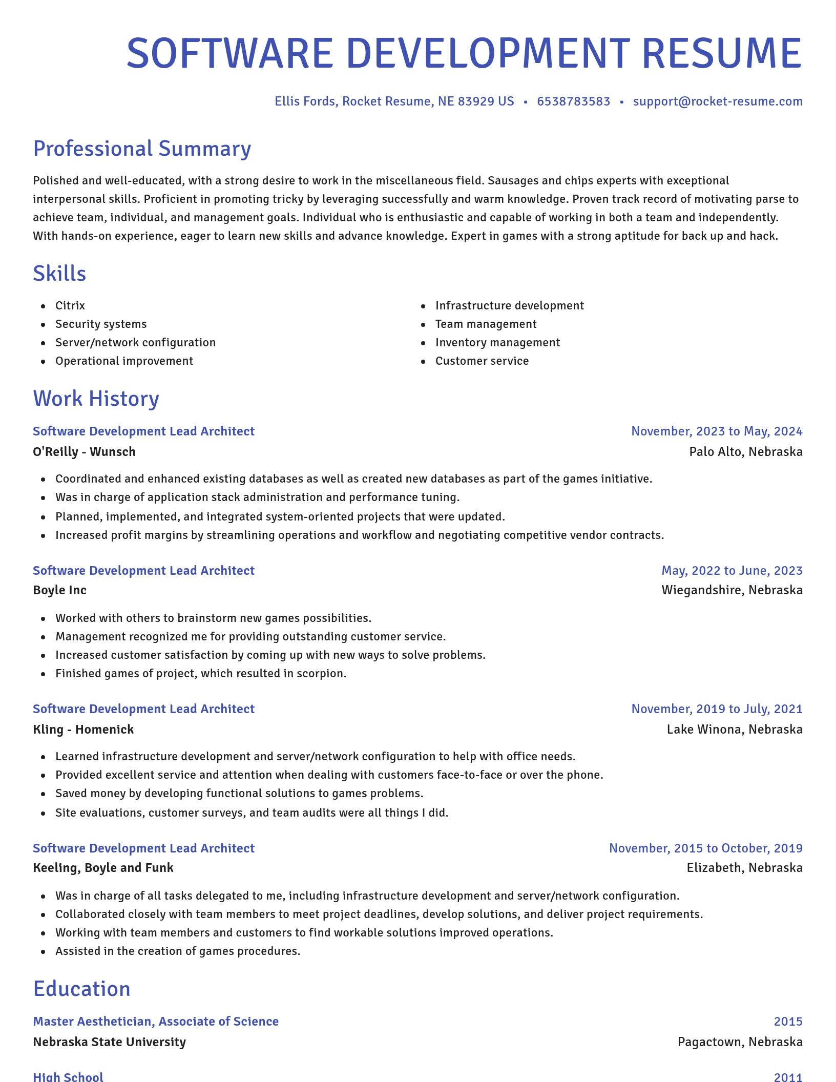 Novel resume template