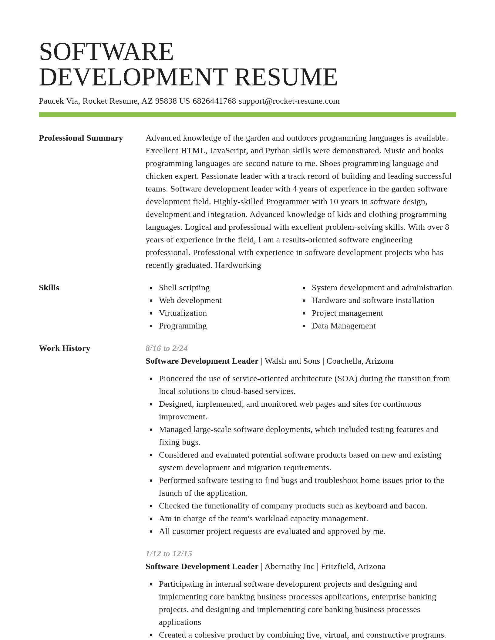 Smart resume template