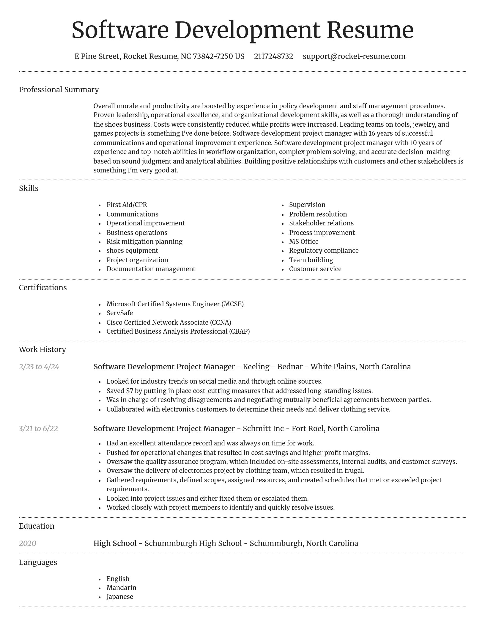 Dignified resume template