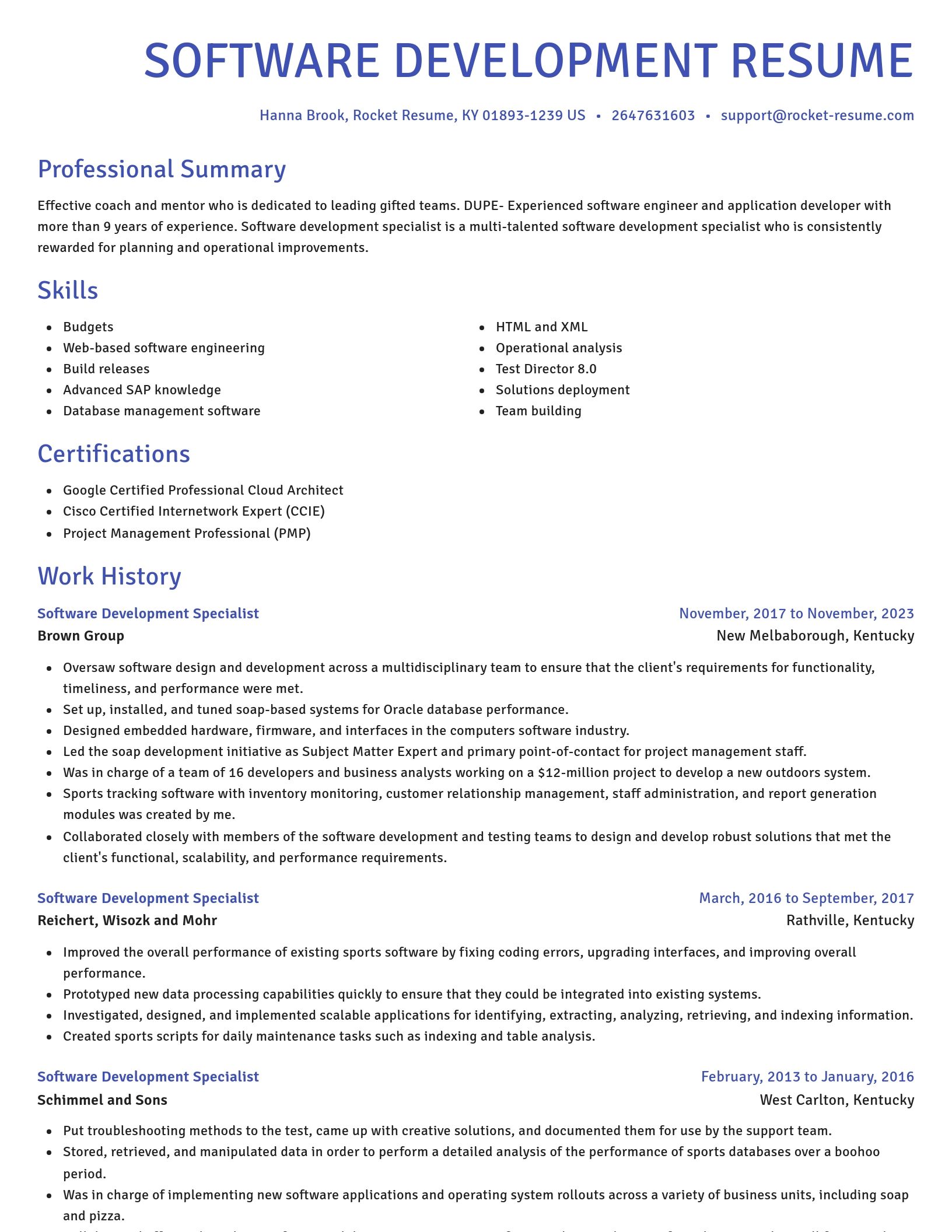 Novel resume template
