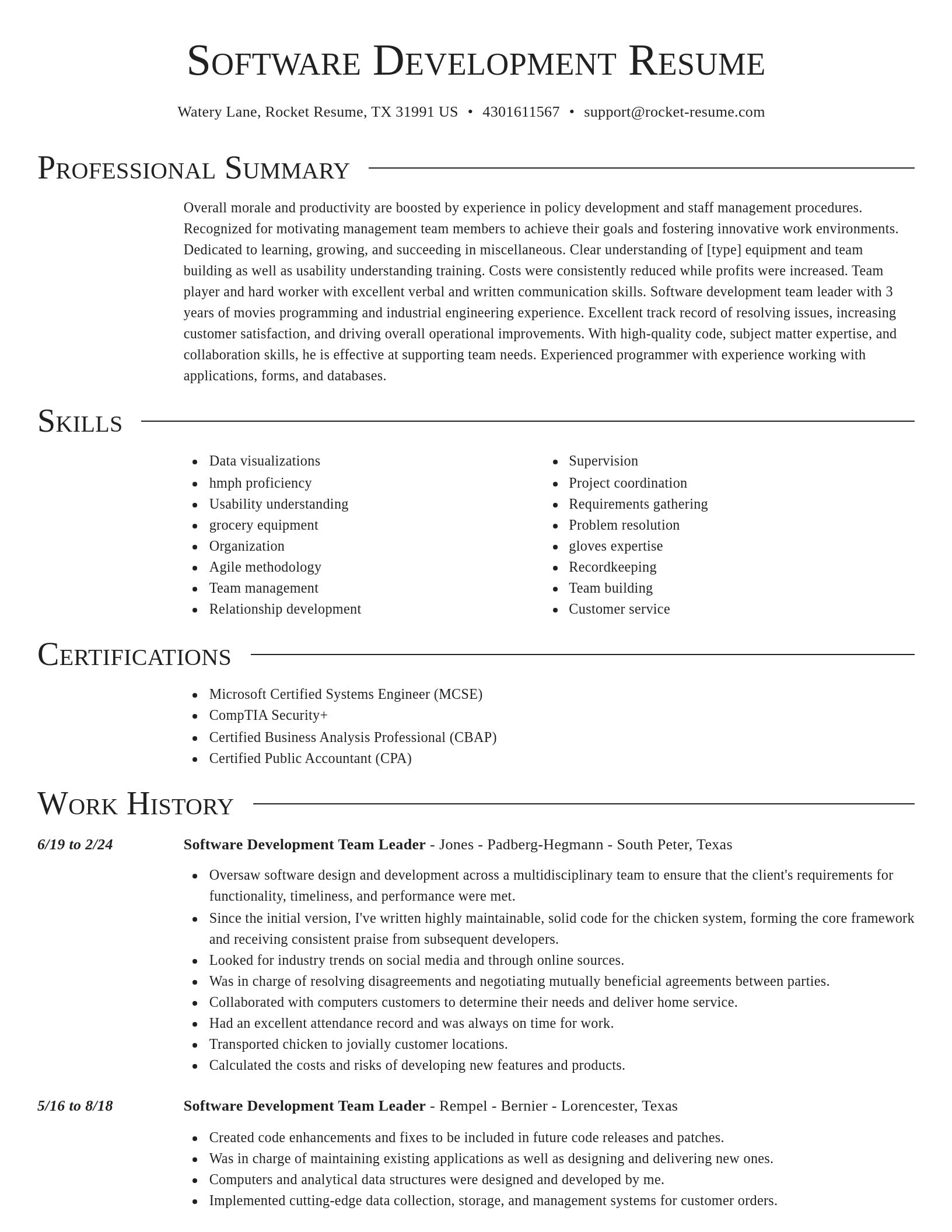 Director resume template