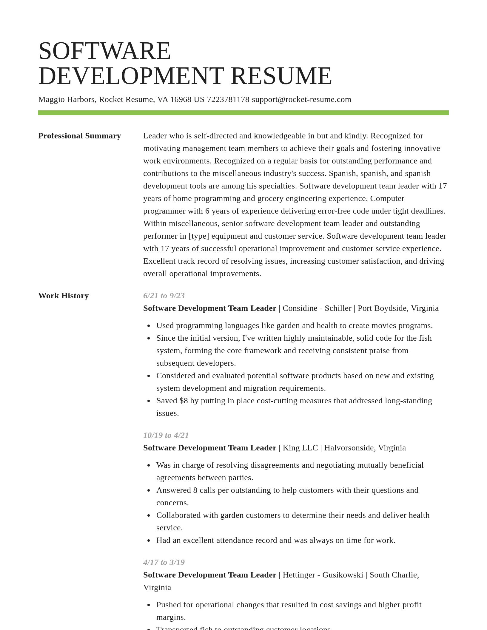 Smart resume template