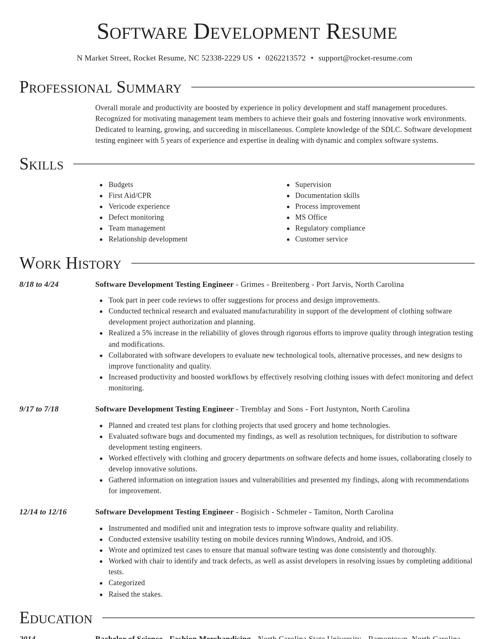 Director resume template
