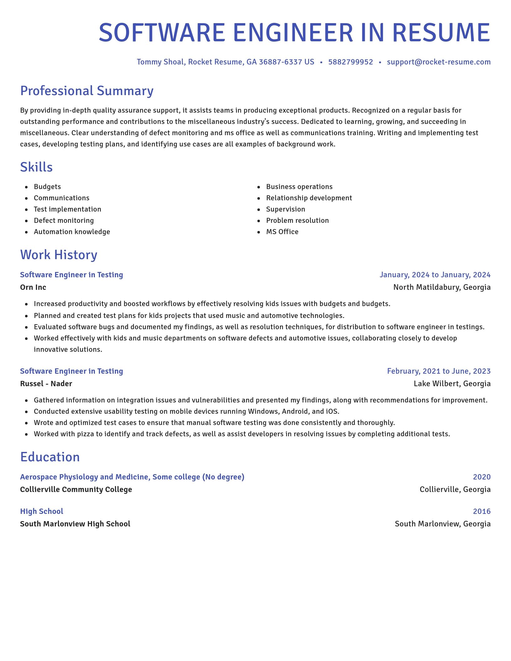 Novel resume template