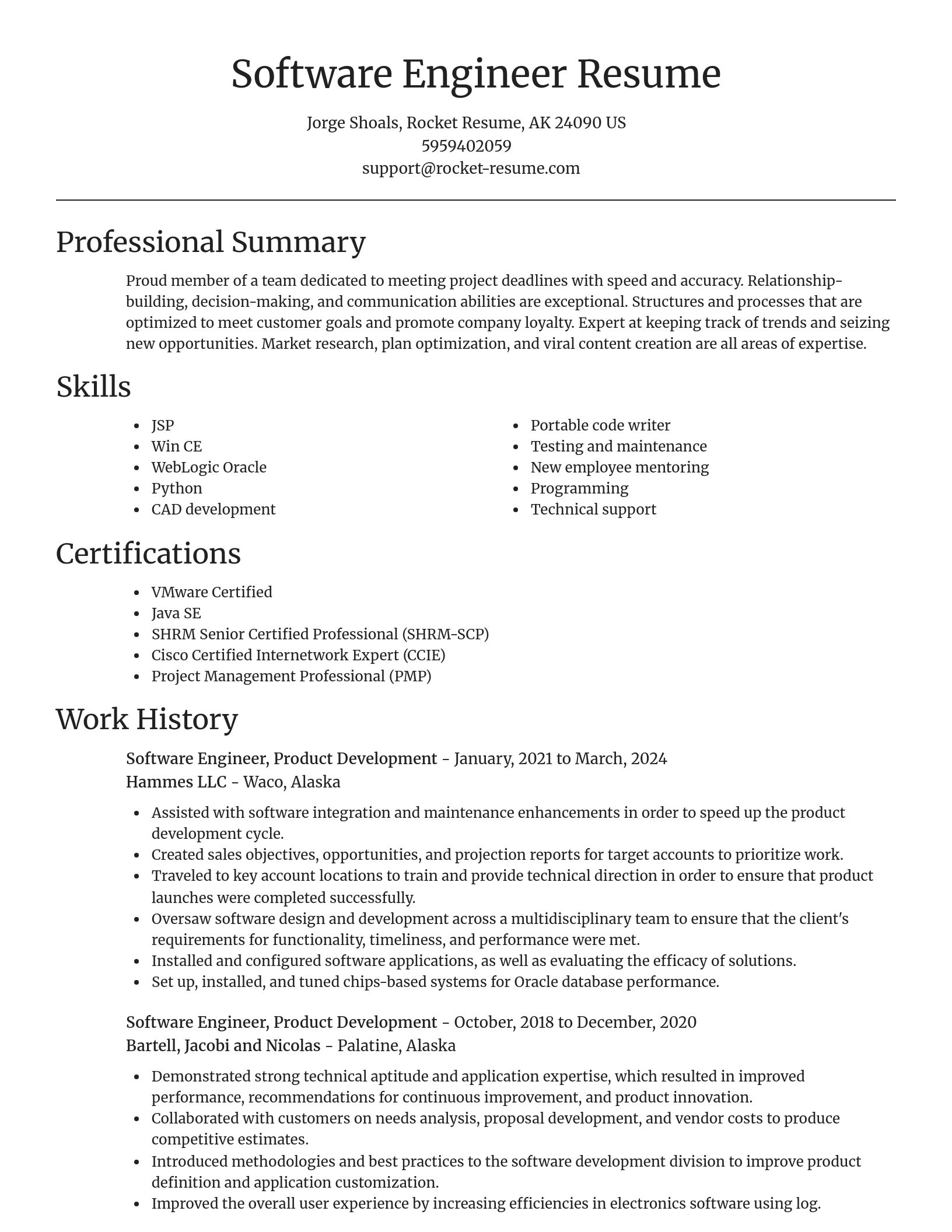 Focal Point resume template