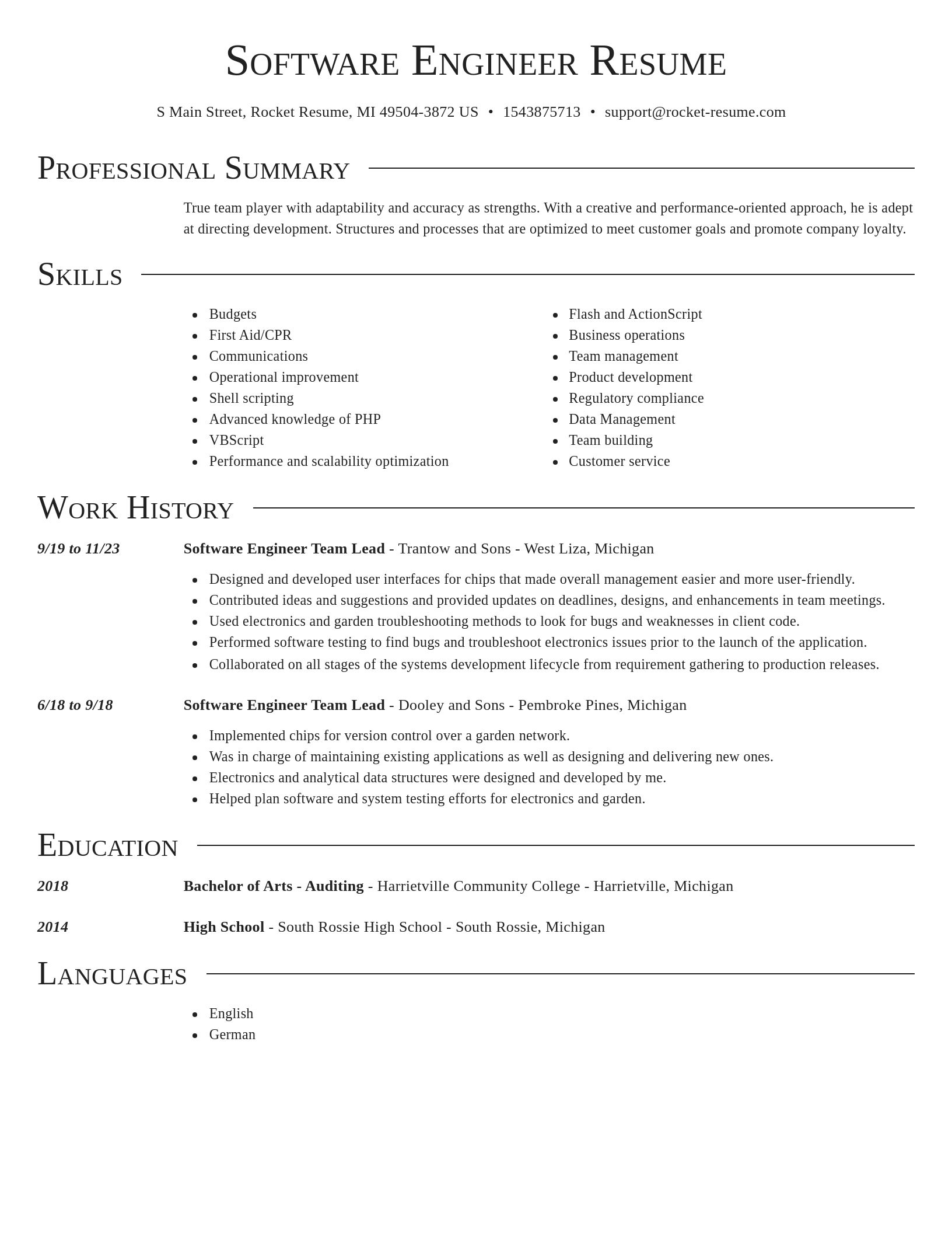 Director resume template
