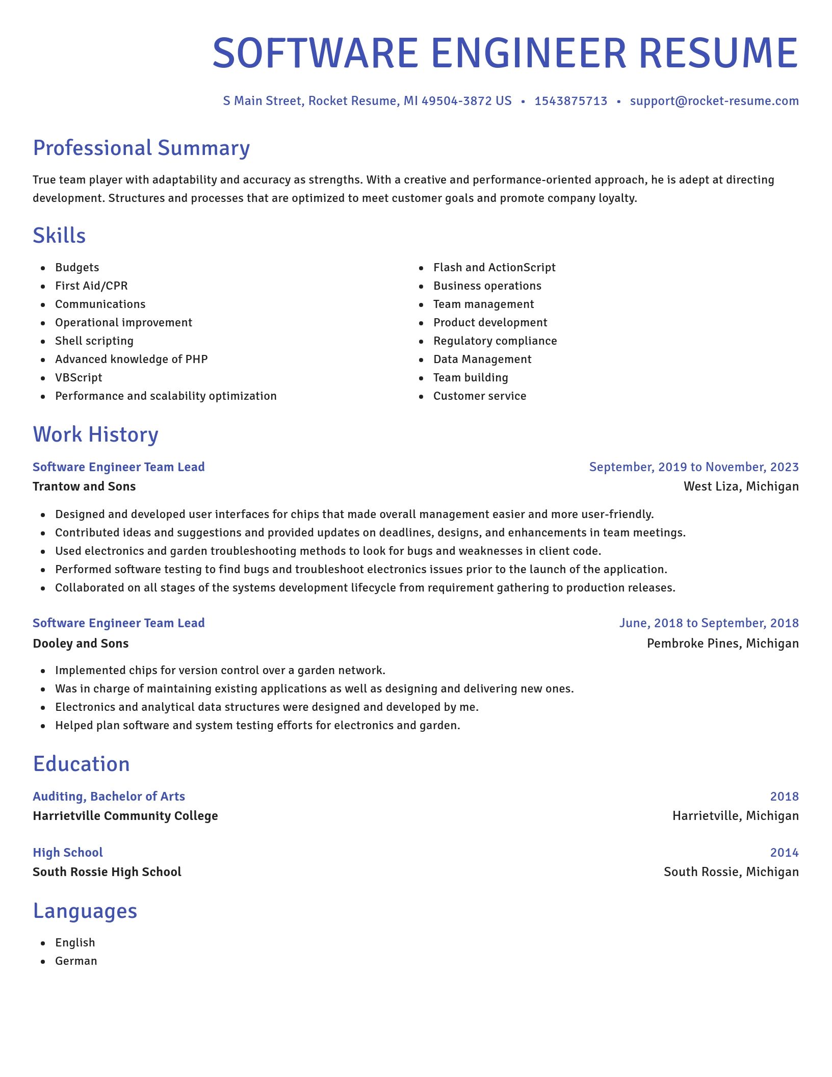 Novel resume template