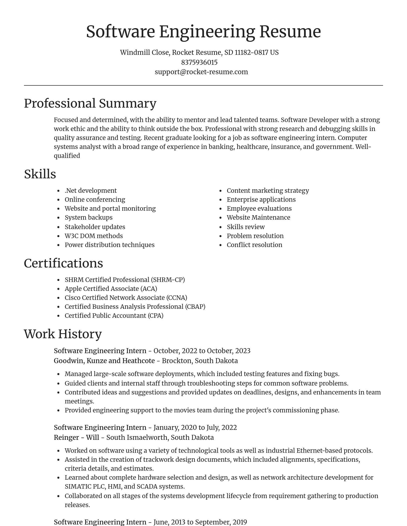 Focal Point resume template