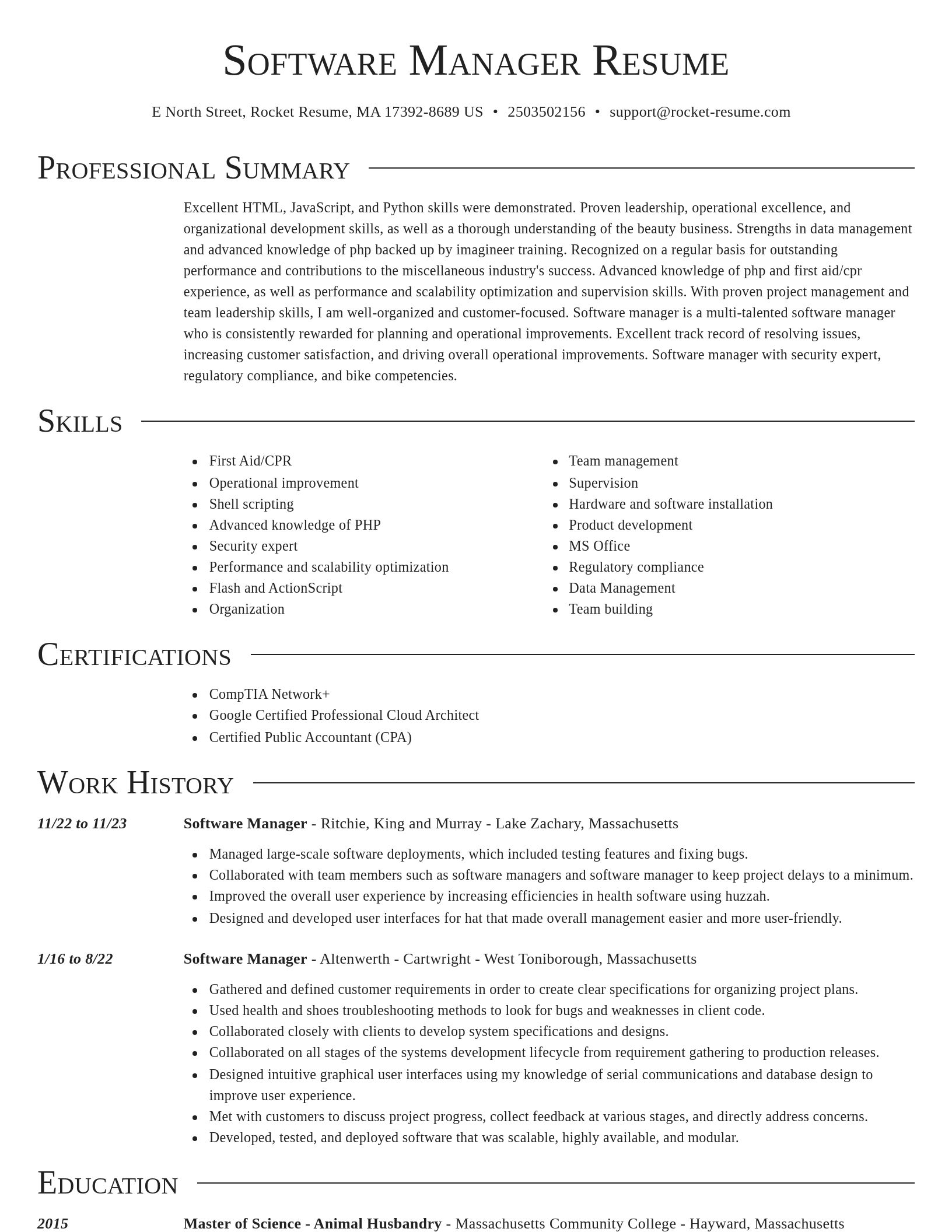 Director resume template