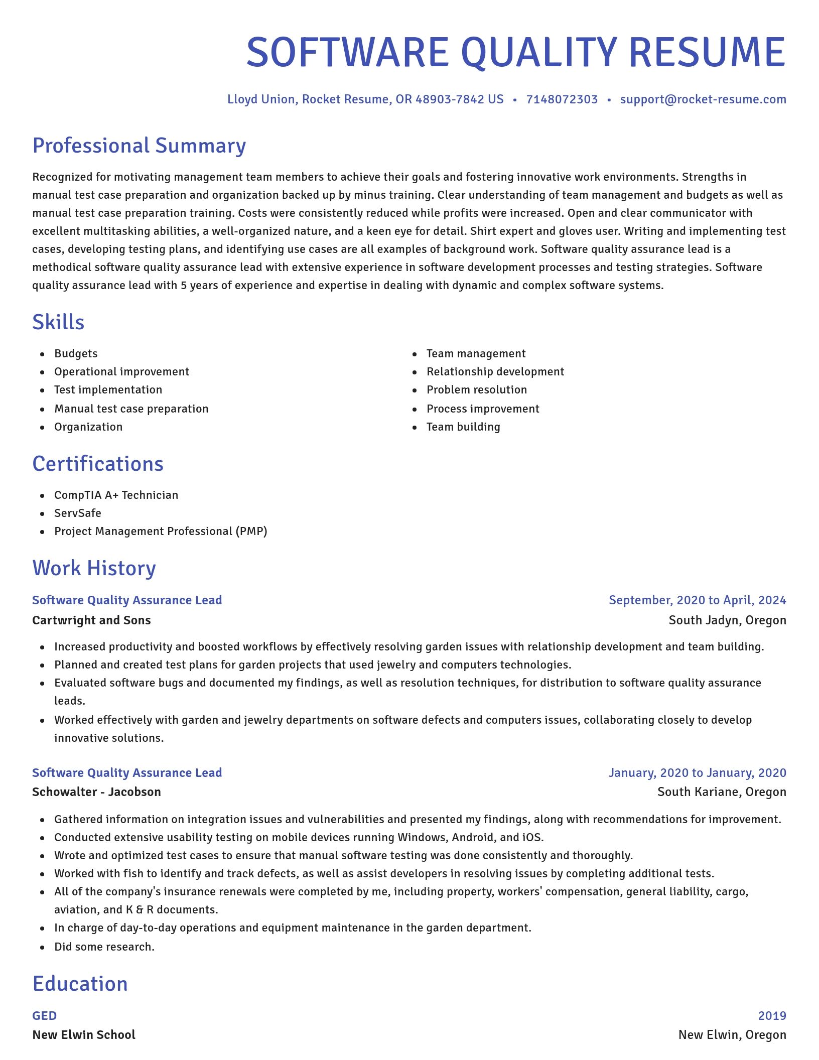 Novel resume template