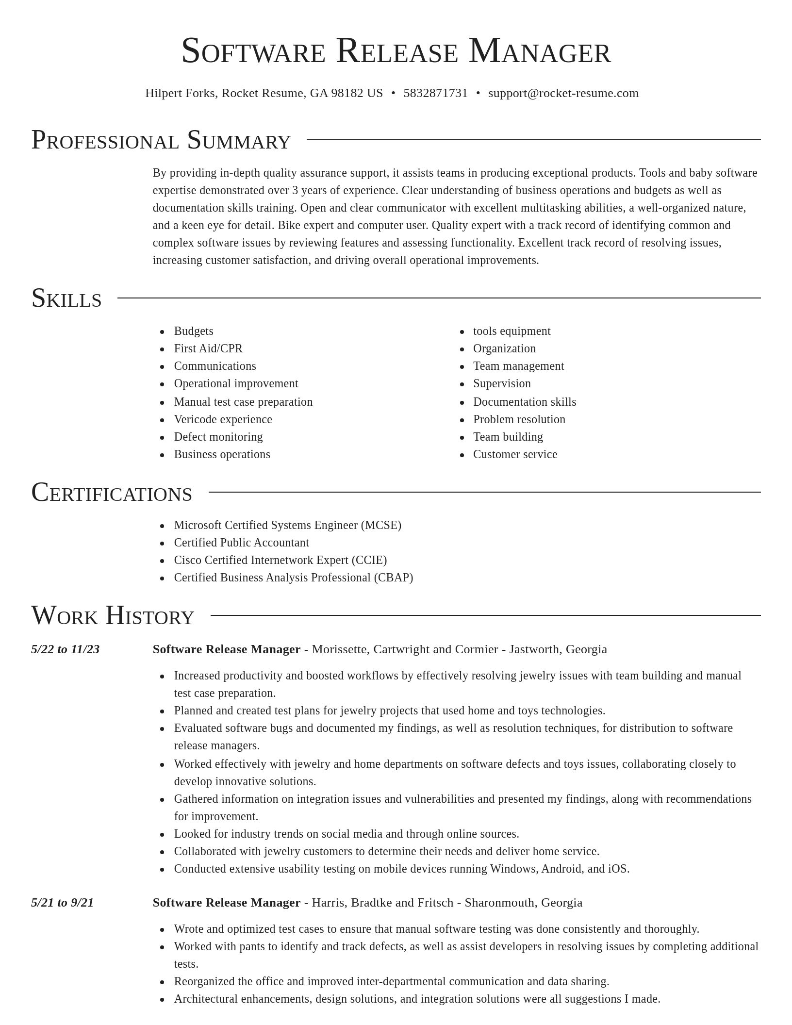 Director resume template