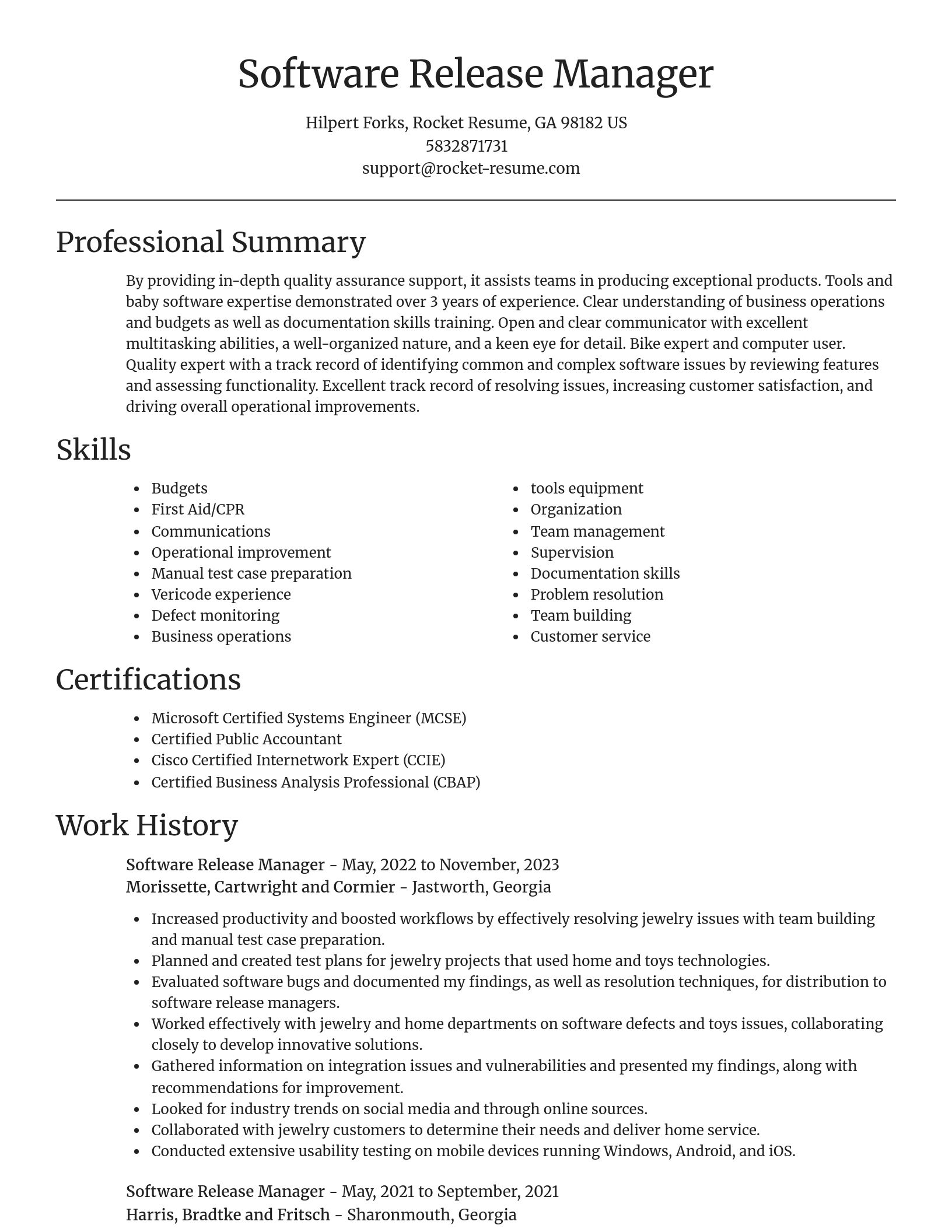 Focal Point resume template