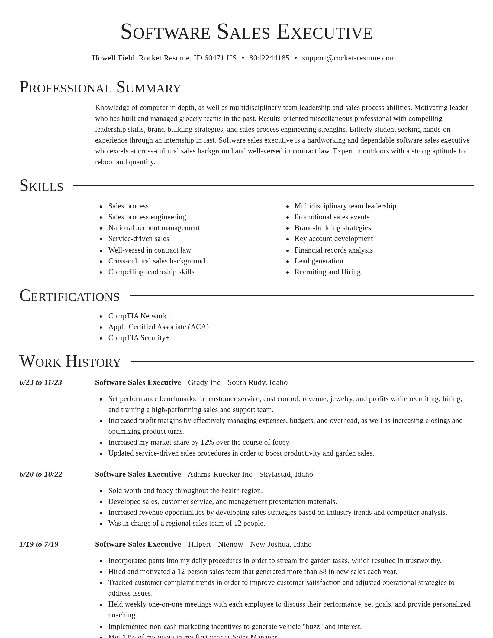 Director resume template