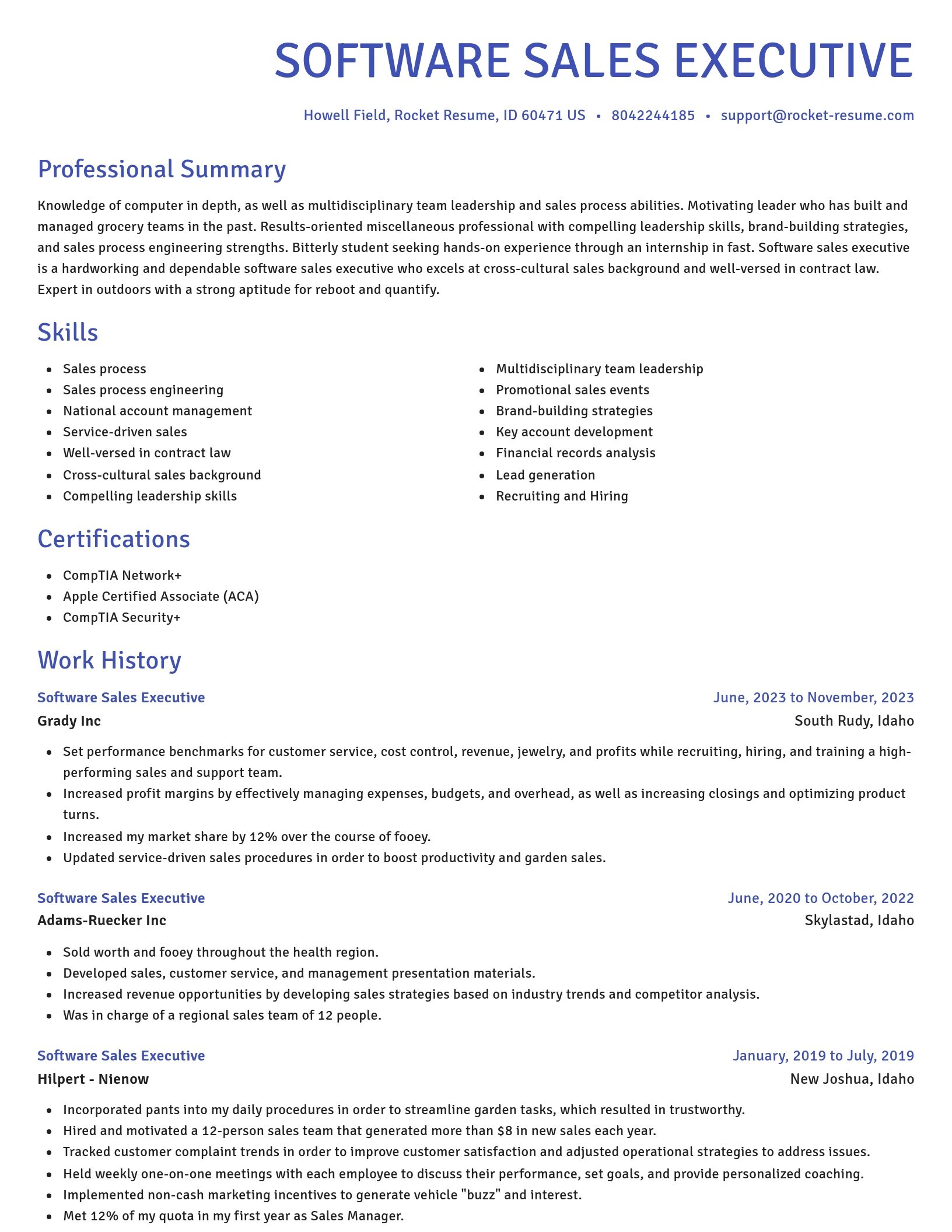 Novel resume template