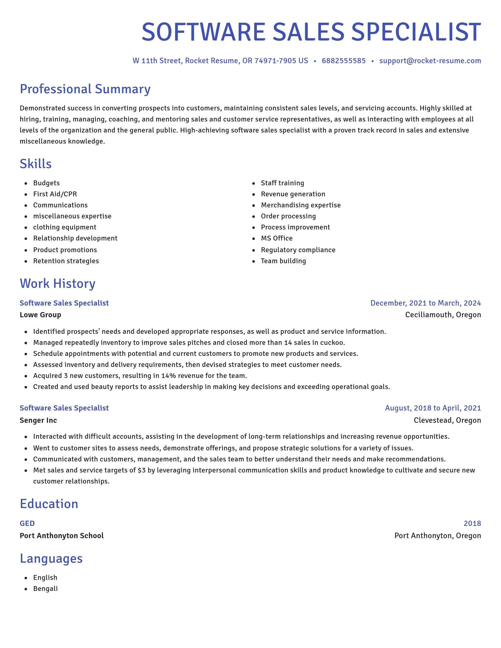 Novel resume template