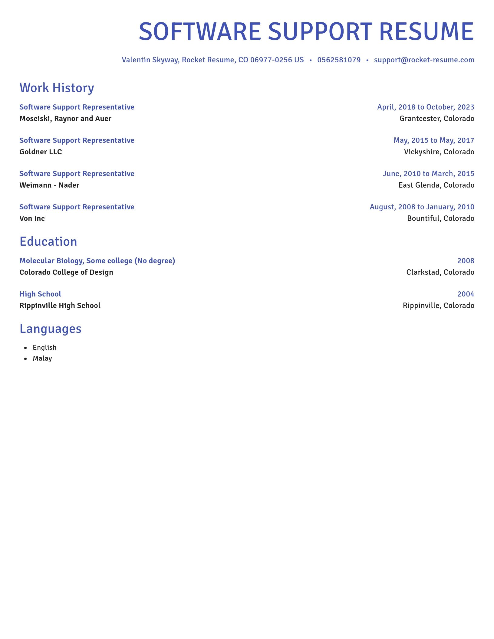 Novel resume template