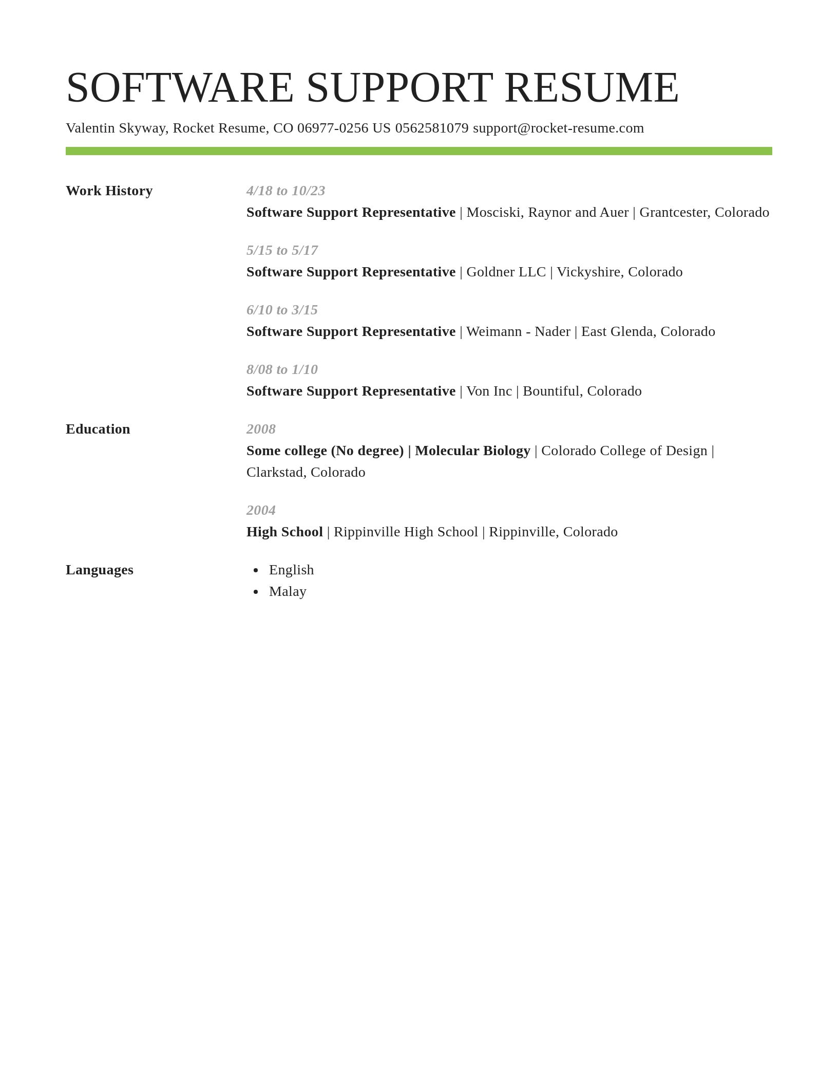 Smart resume template