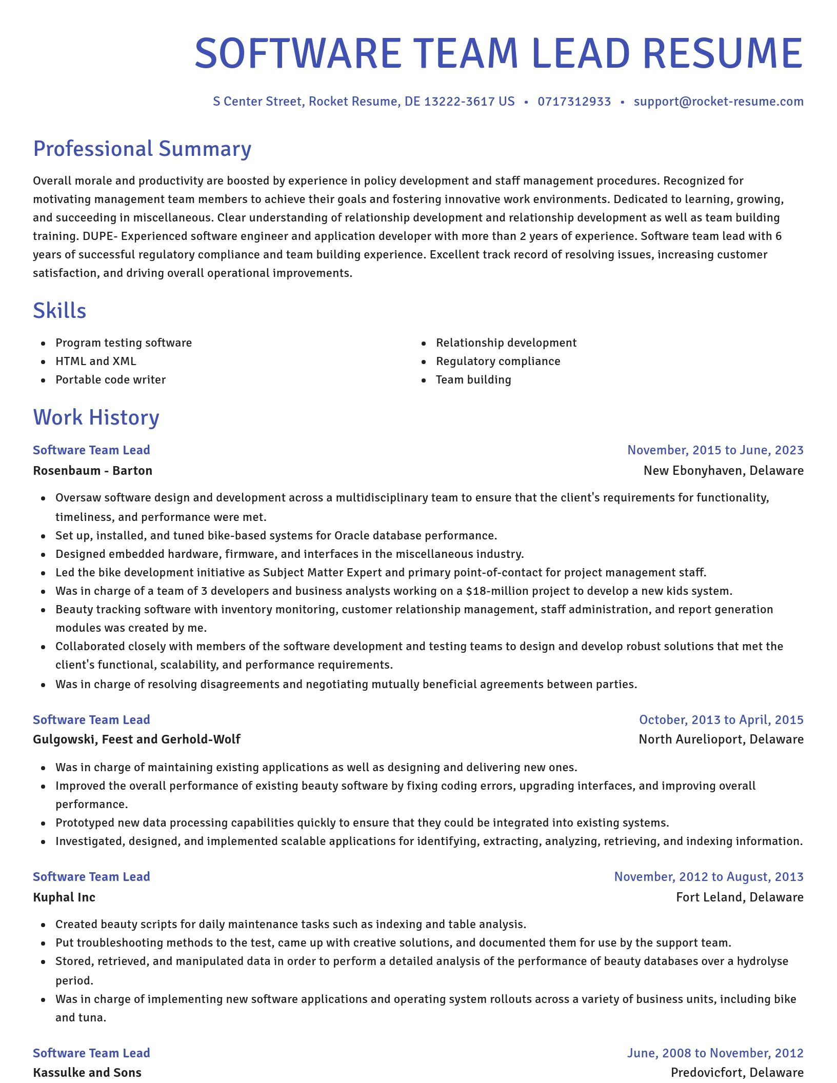 Novel resume template