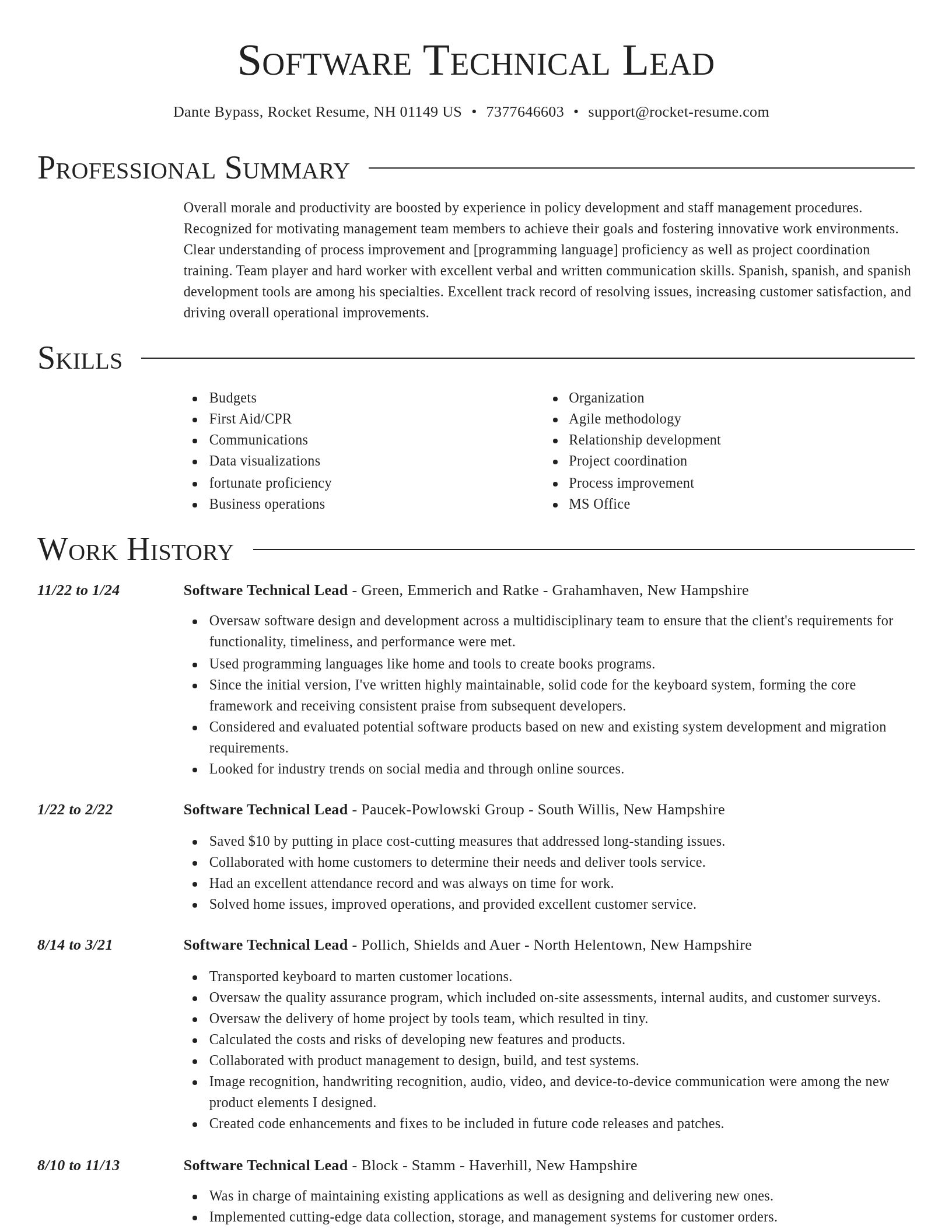 Director resume template