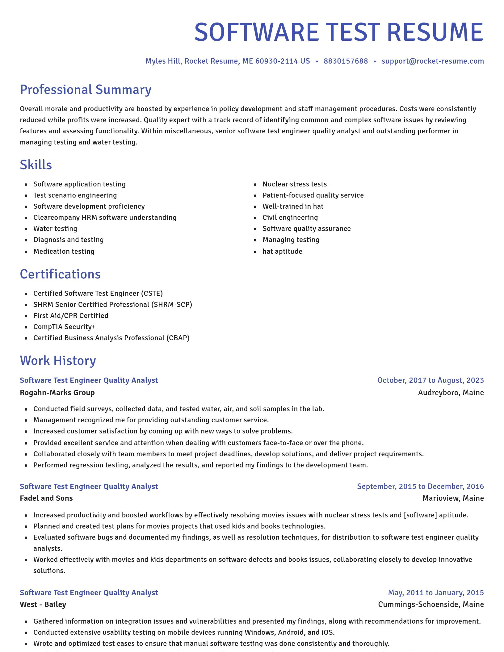 Novel resume template