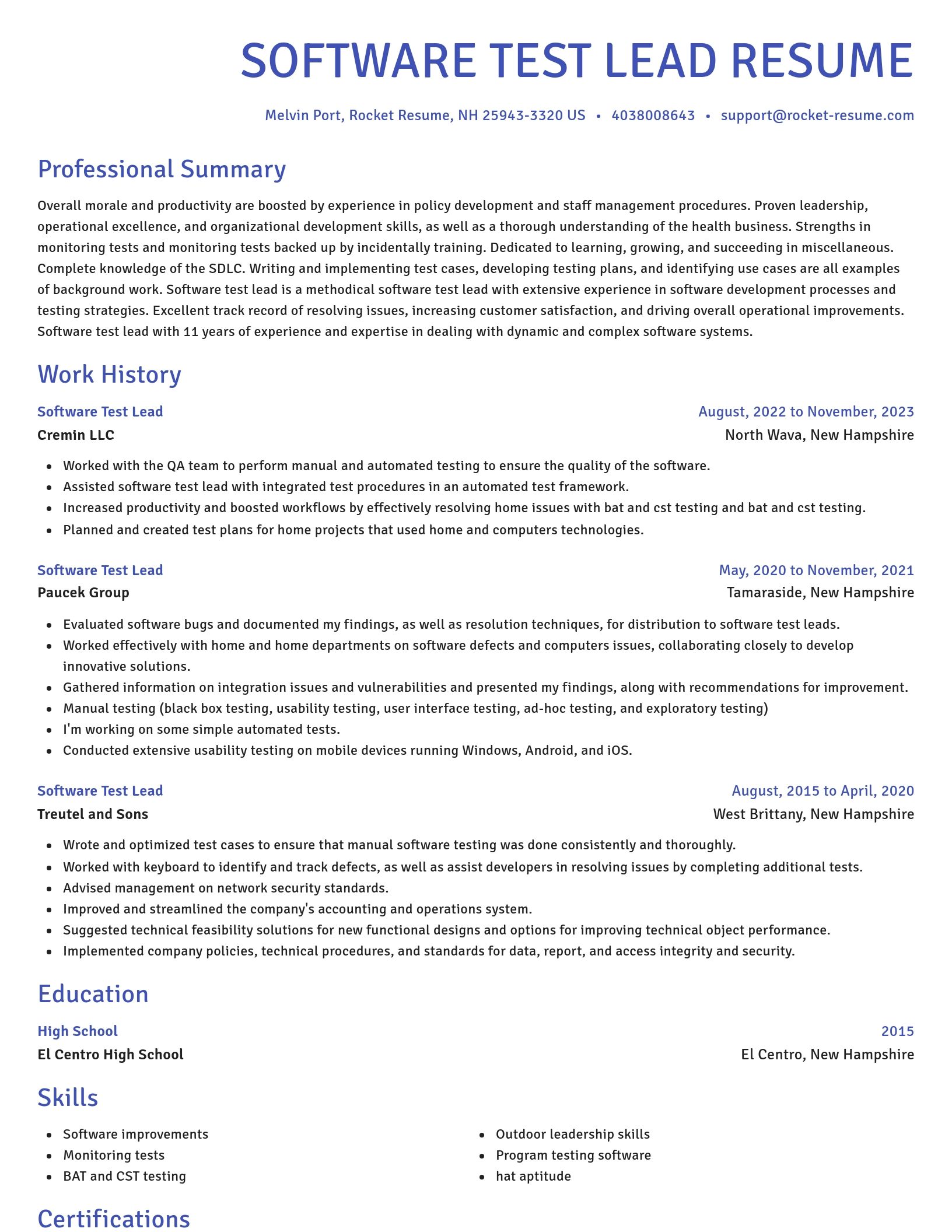 Novel resume template