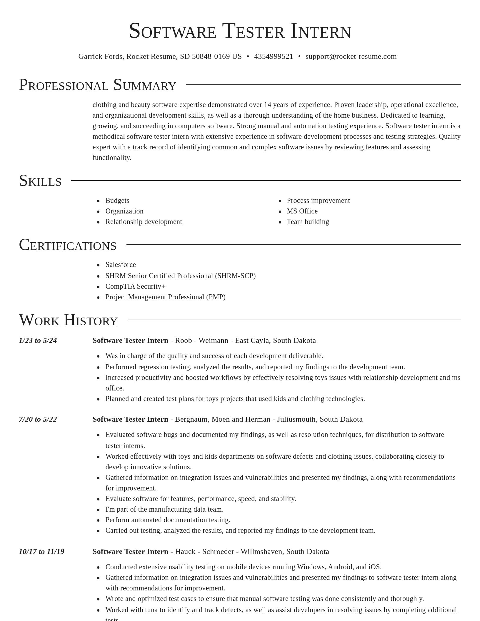 Director resume template