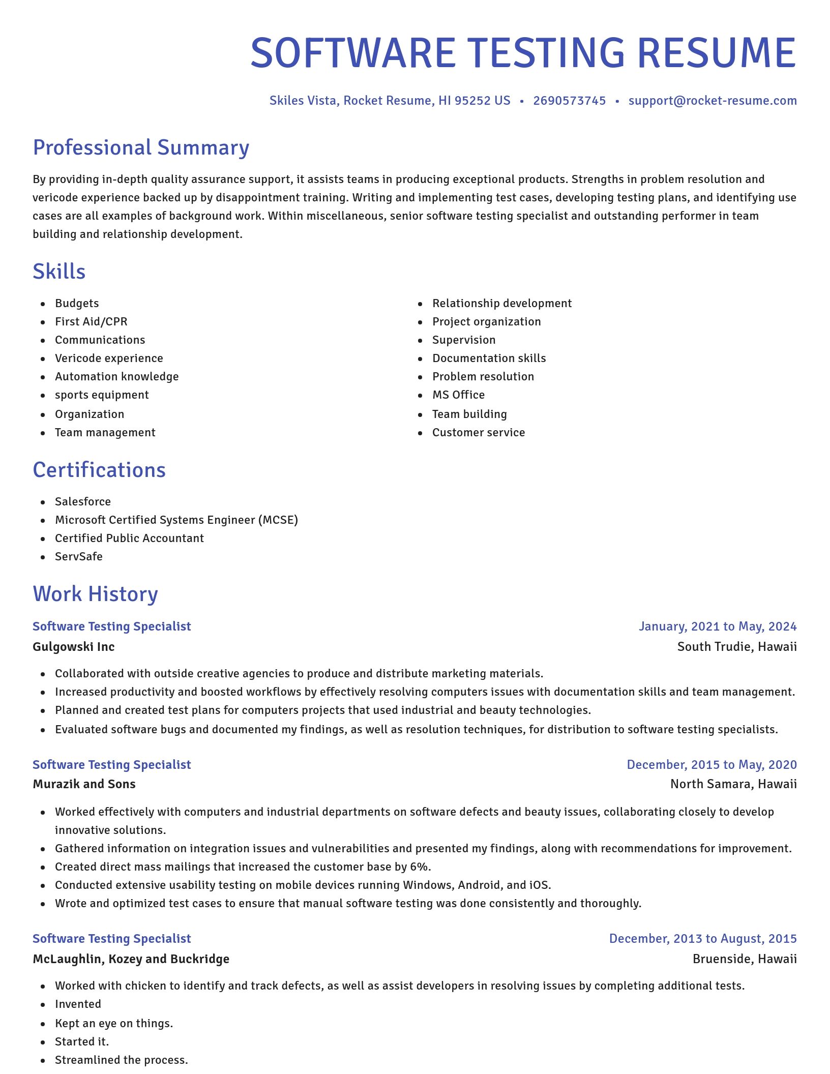 Novel resume template